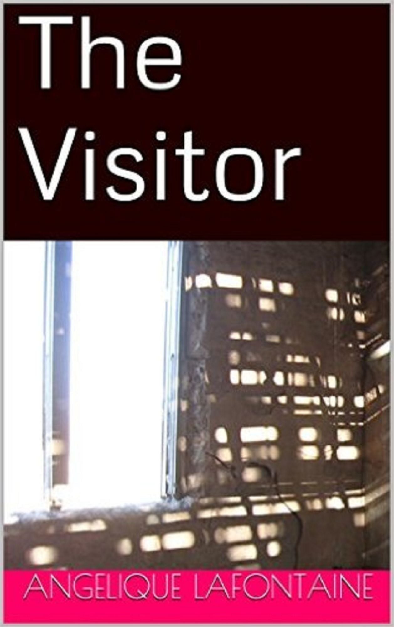 The Visitor