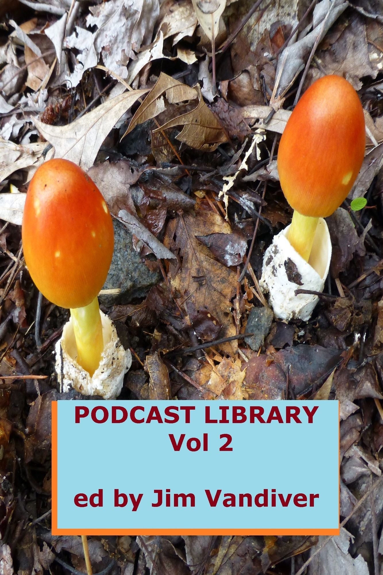 Podcast Library, Vol 2