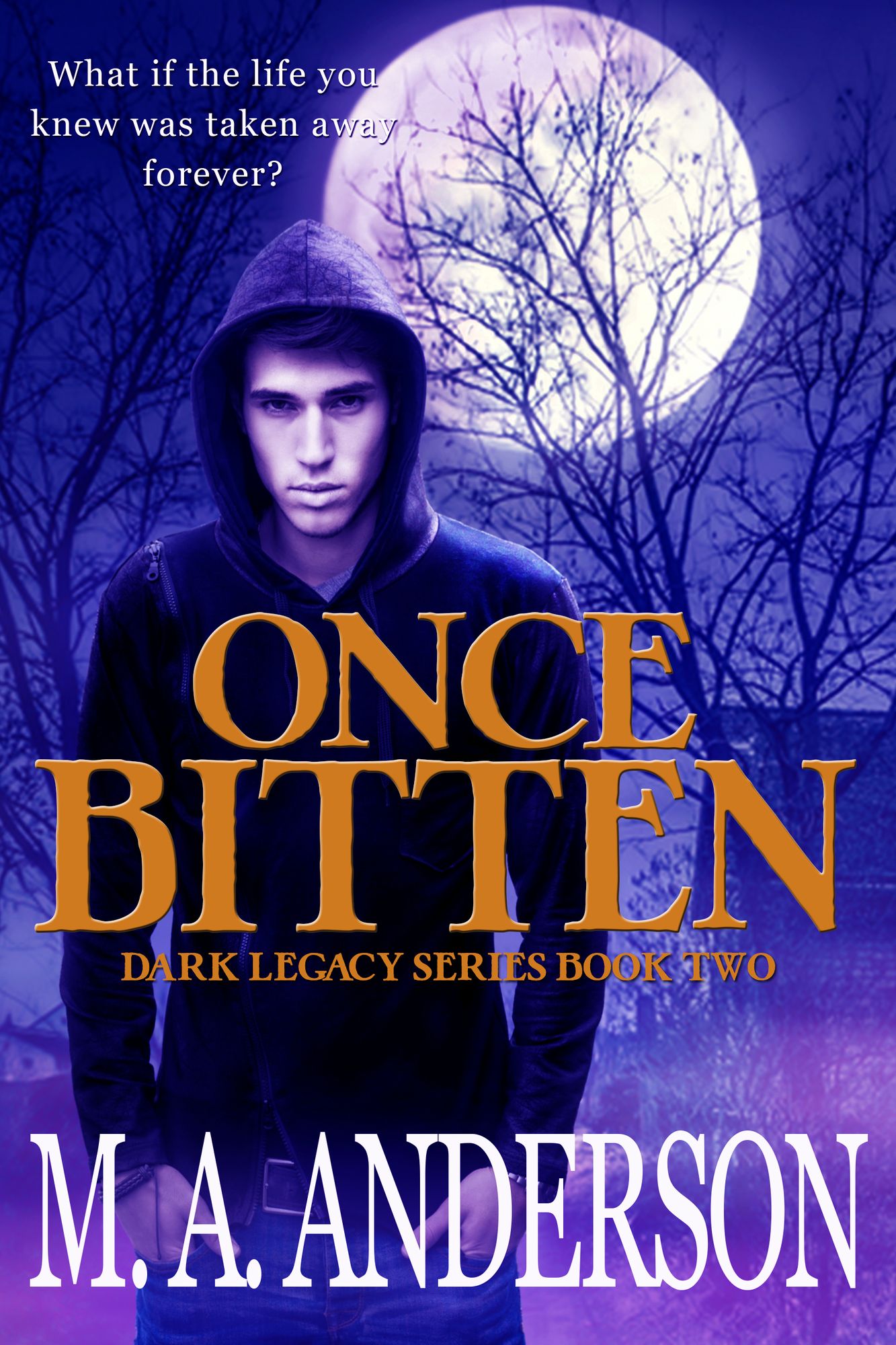 Once Bitten (Book Two in the Dark Legacy series)
