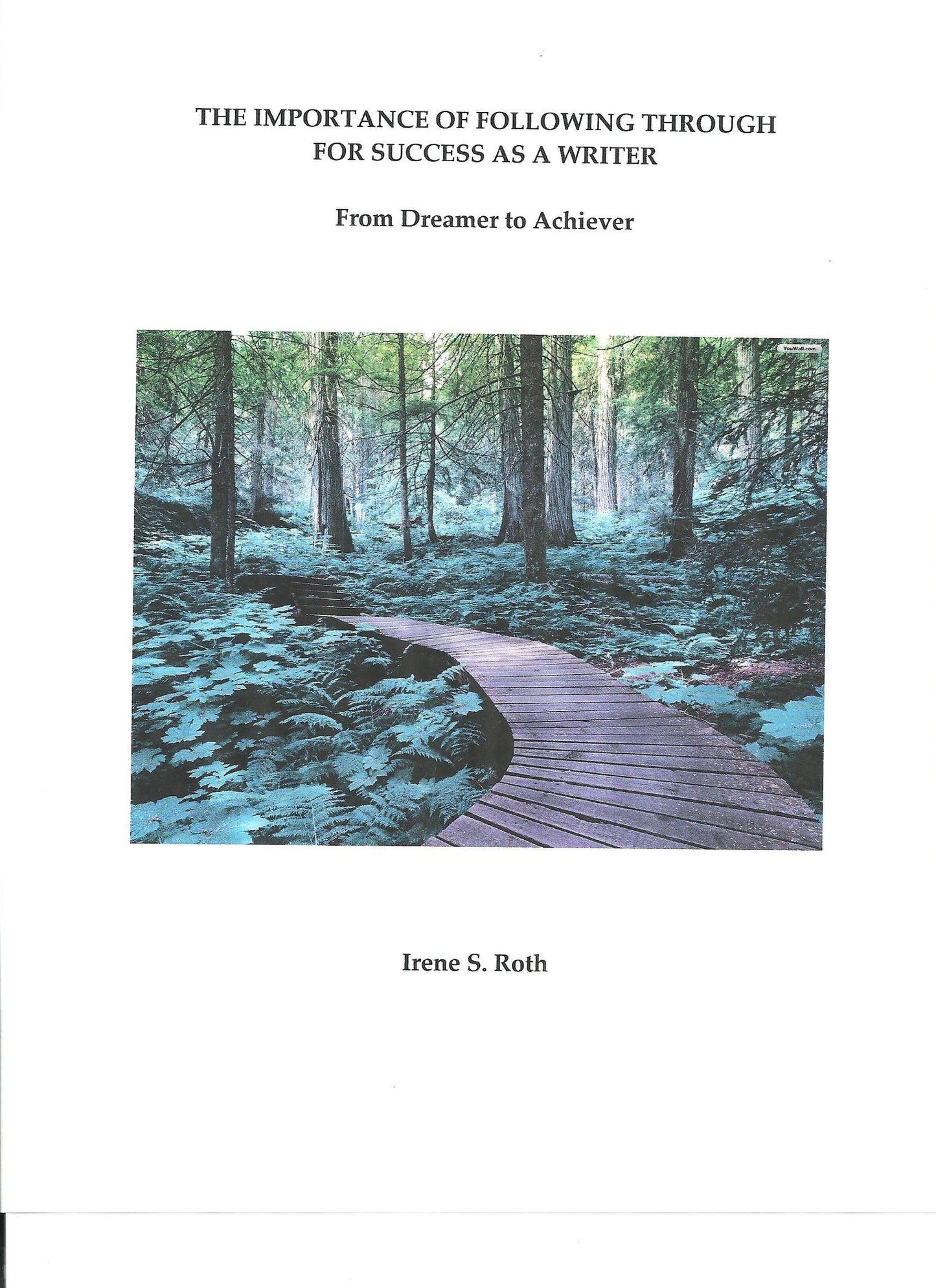 The Importance of Following Through for Success as a Writer: From Dreamer to Achiever