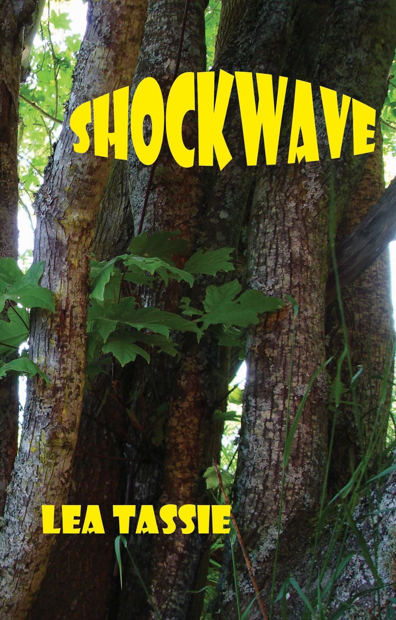 Shockwave