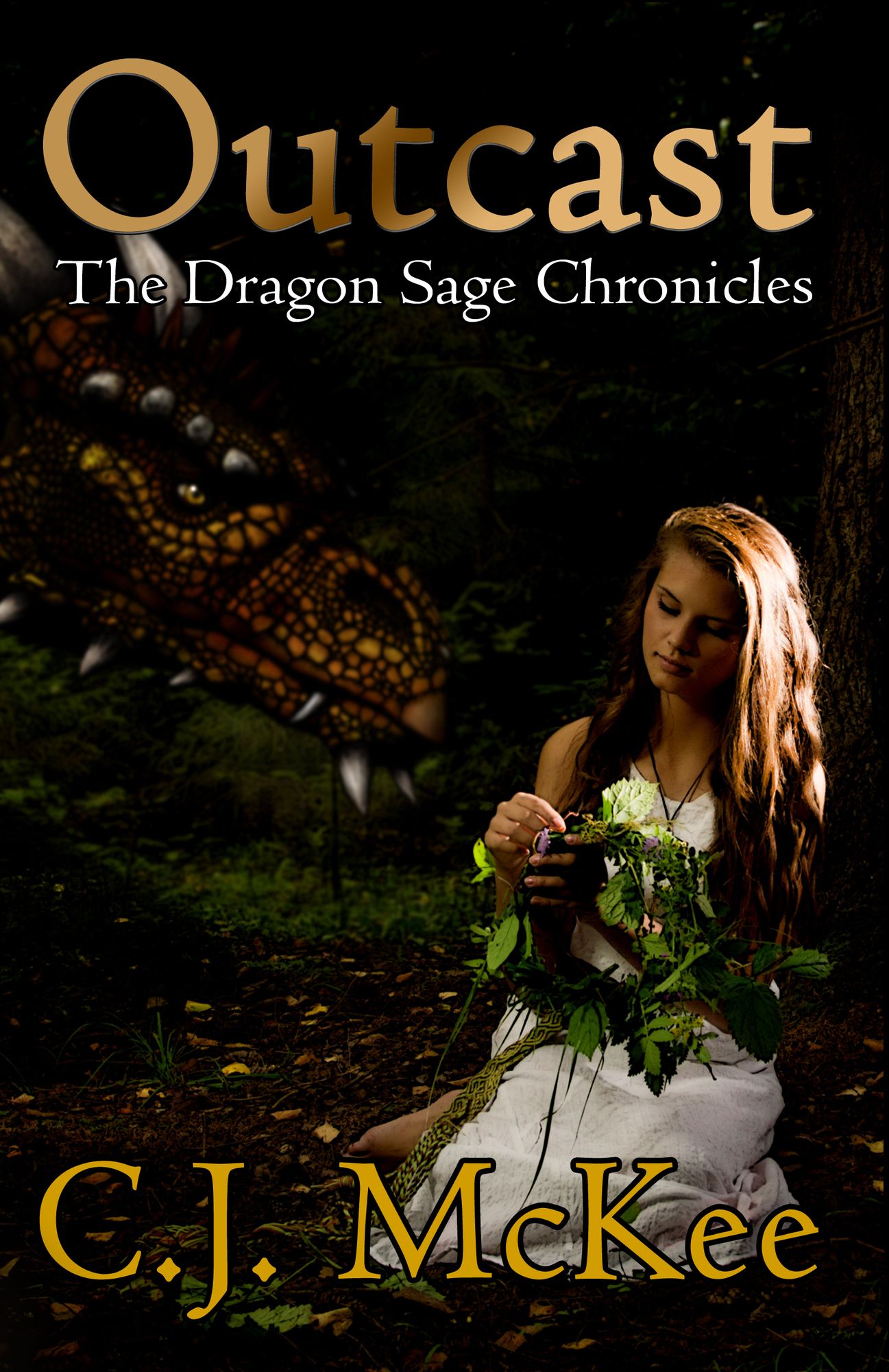 Outcast: The Dragon Sage Chronicles