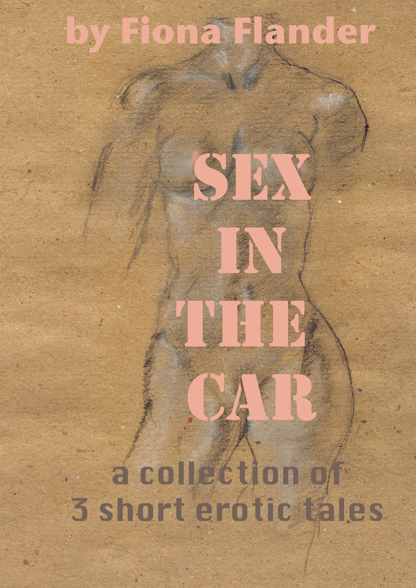 Sex in the Car: a collection of 3 short erotic tales