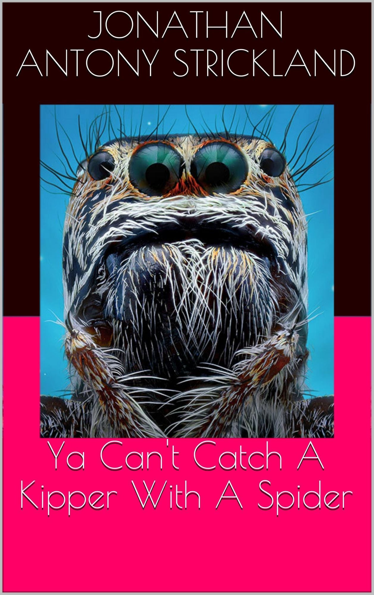 Ya Can't Catch A Kipper With A Spider