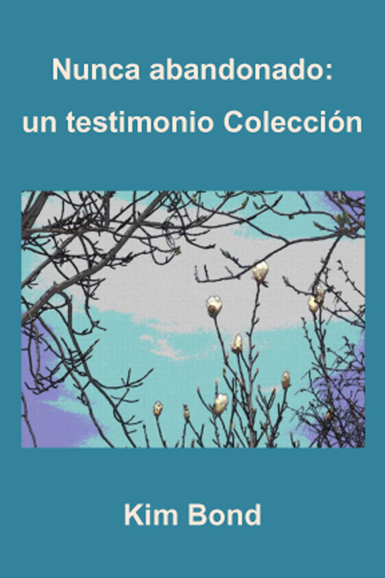 Nunca abandonado: un testimonio Colección