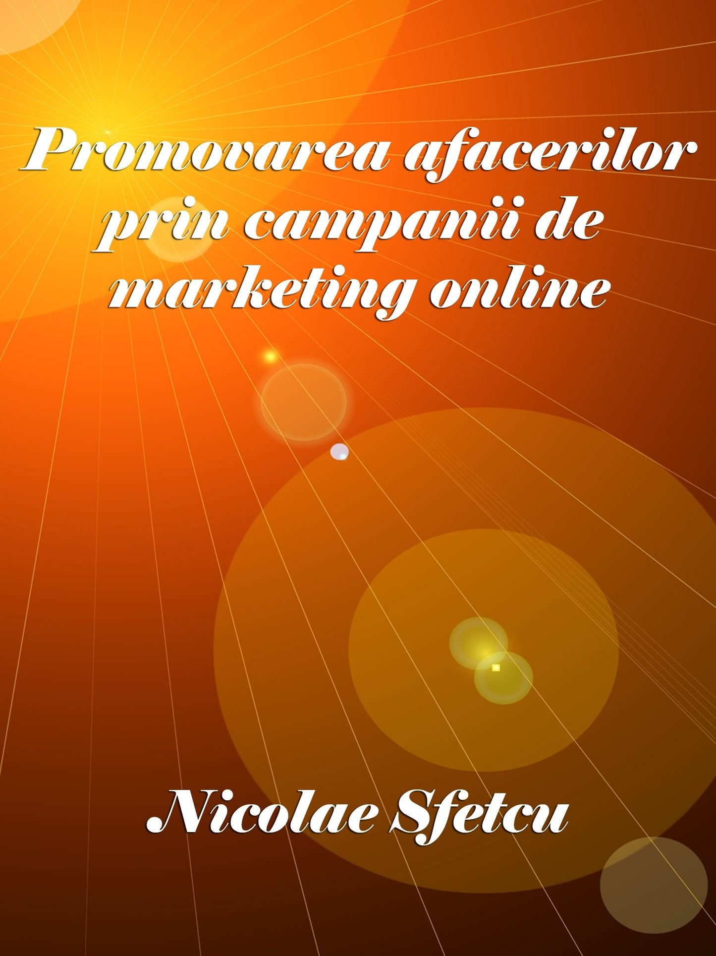 Promovarea afacerilor prin campanii de marketing online