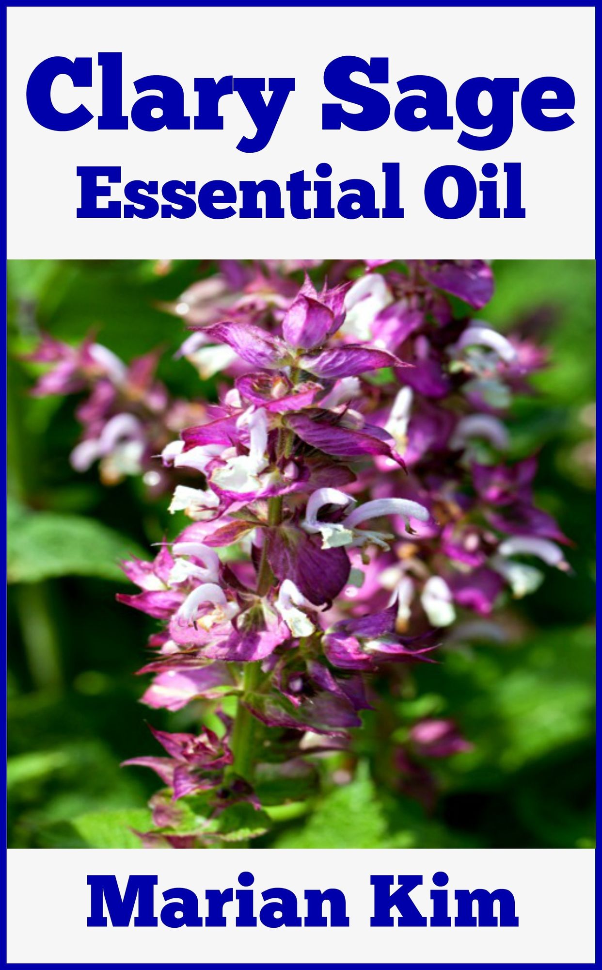 Clary Sage Essential Oil