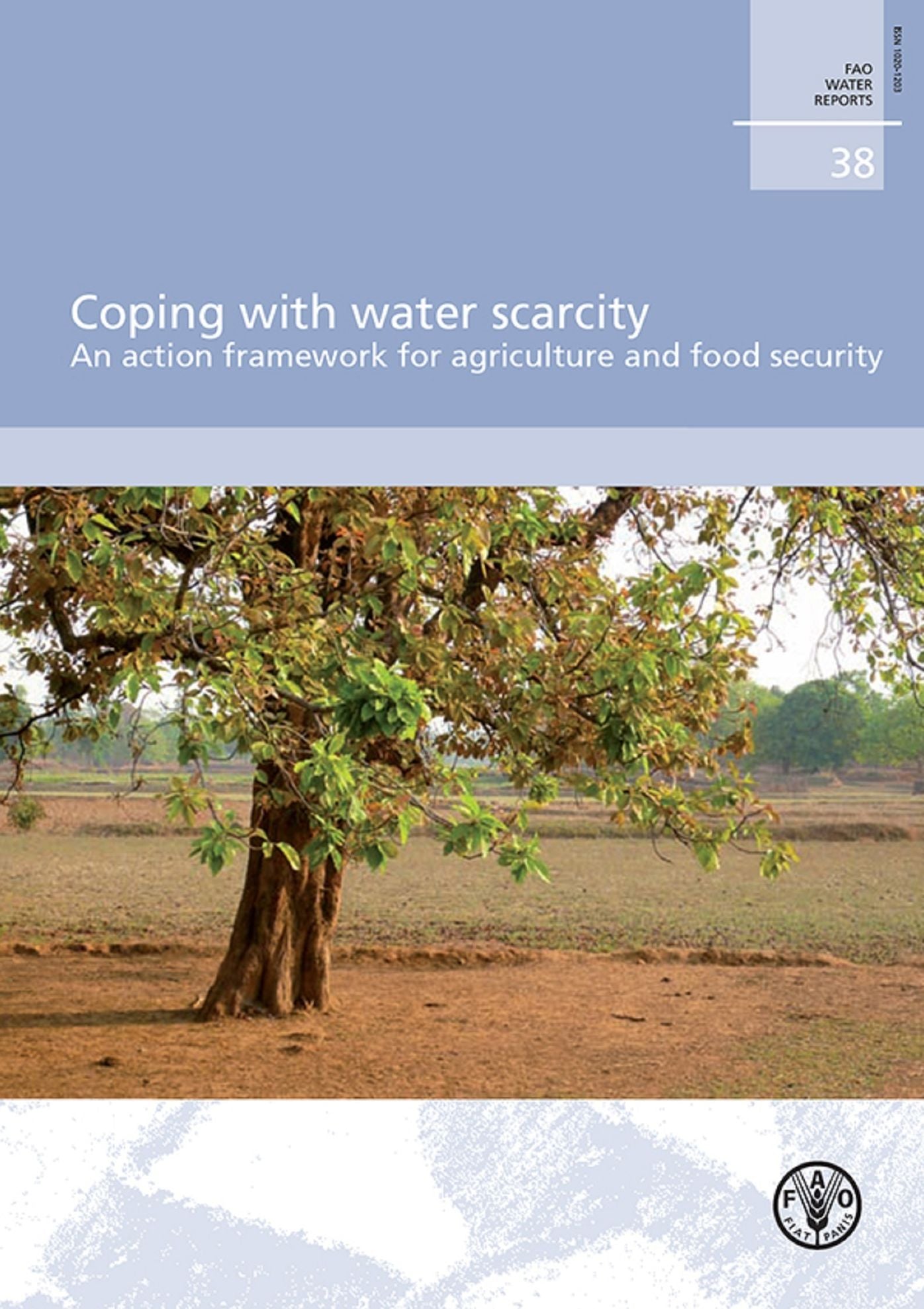 Coping with water scarcity. An action framework for agriculture and food security