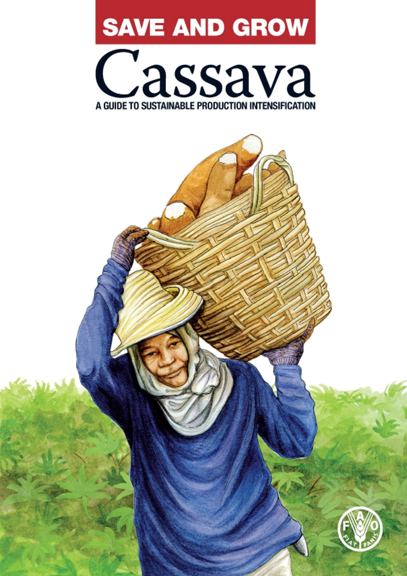 Save and Grow: Cassava