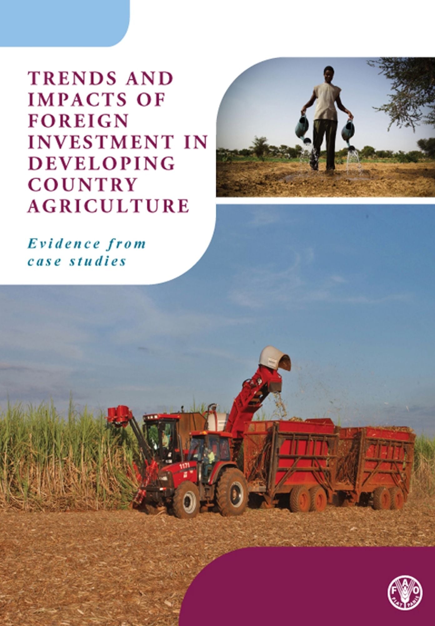 Trends and impacts on foreign investments in developing country agriculture