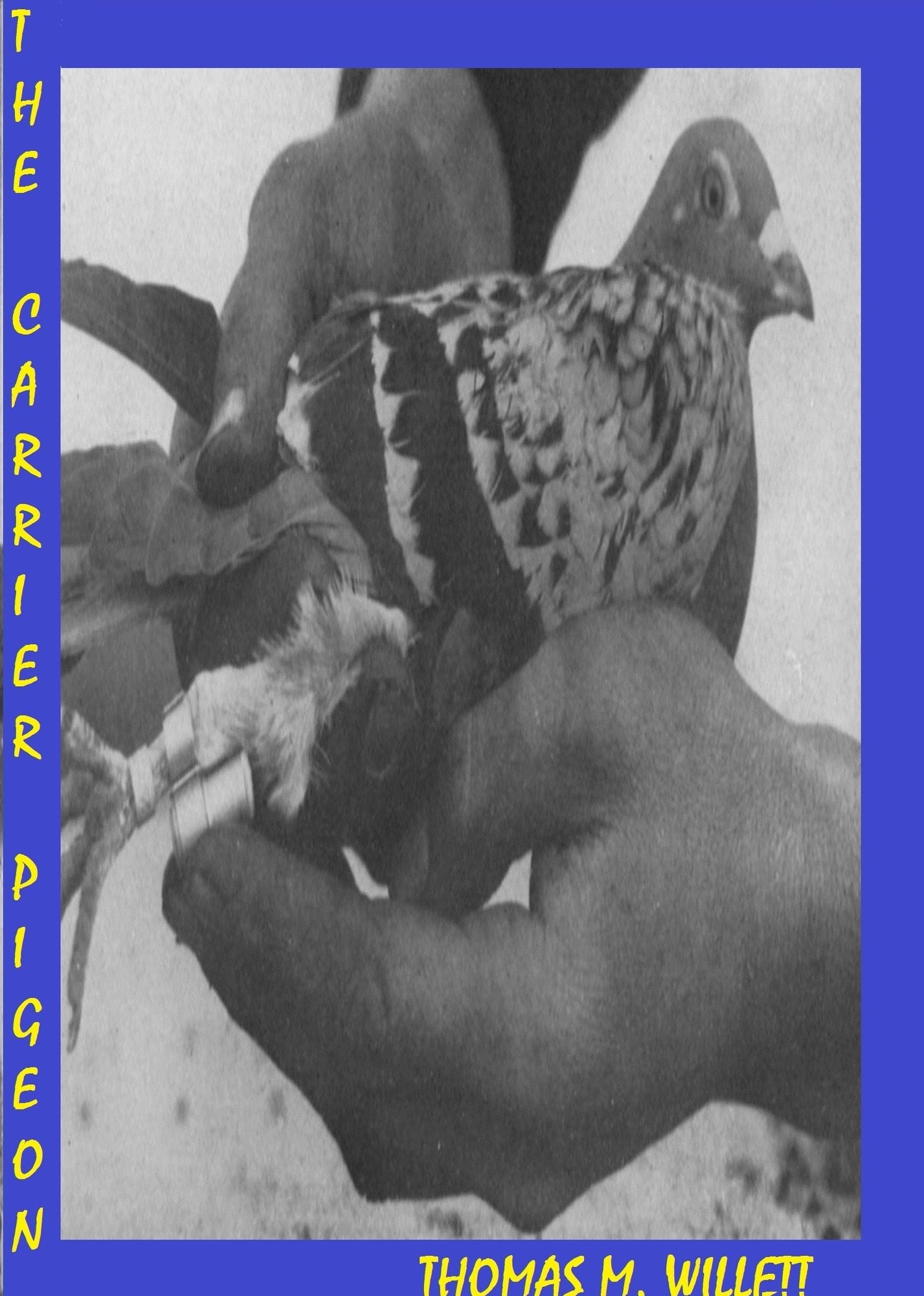 The Carrier Pigeon