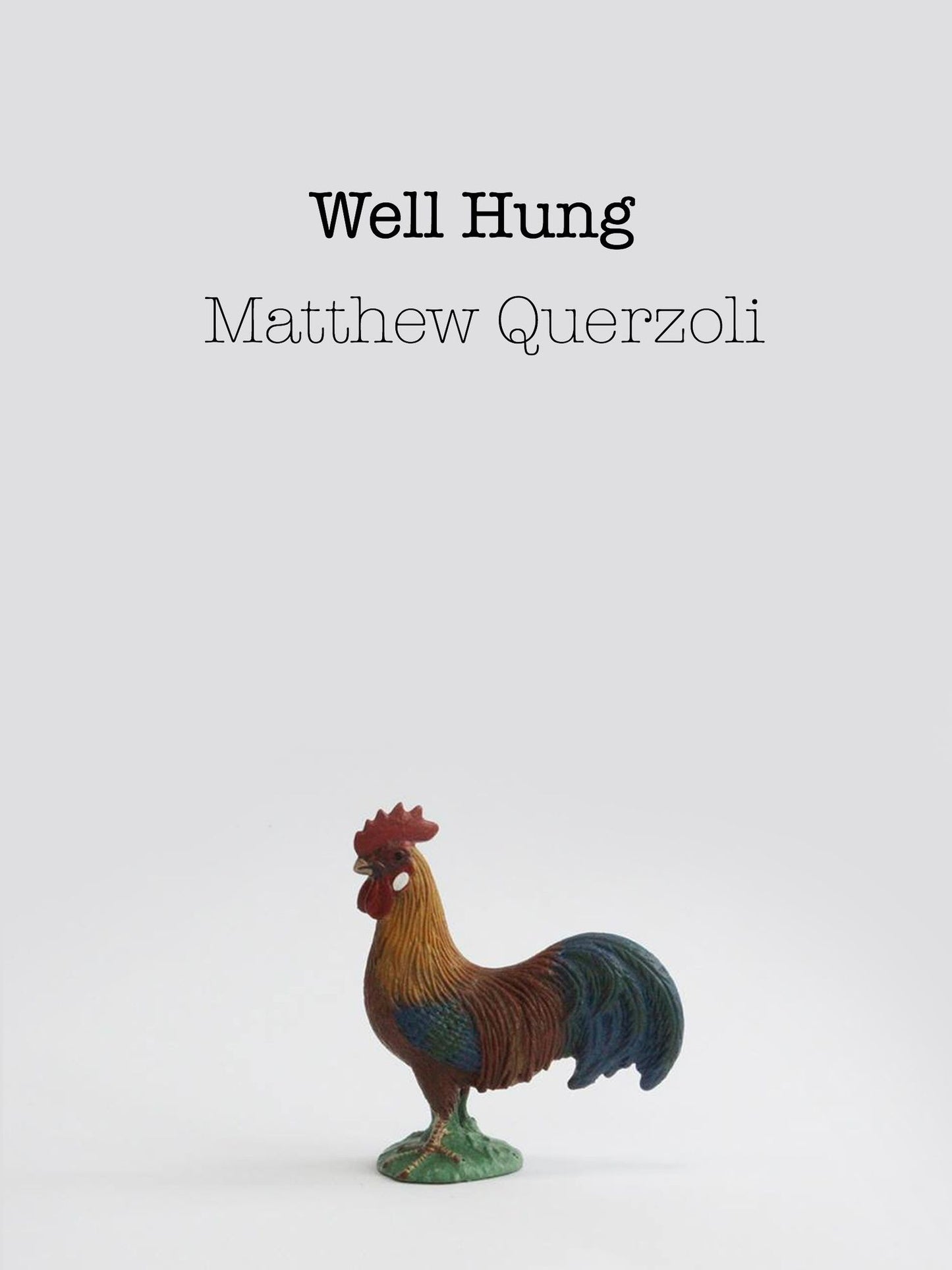 Well Hung