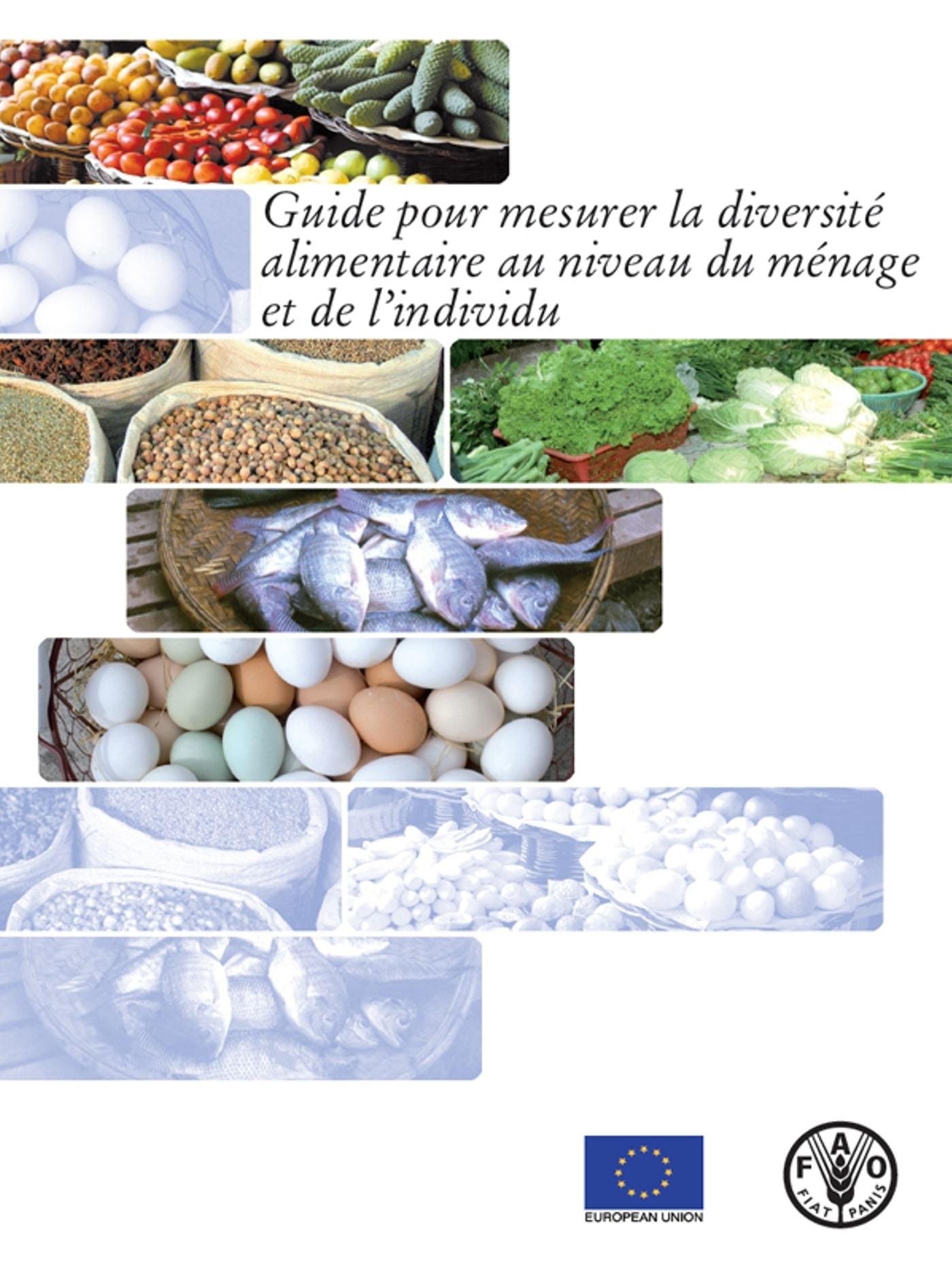 Guide pour mesurer la diversite alimentaire au niveau du menage et de l'individu