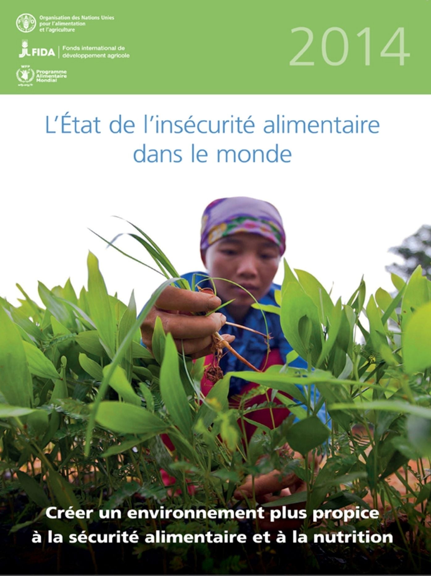 L'etat de l'insecurite alimentaire dans le monde 2014