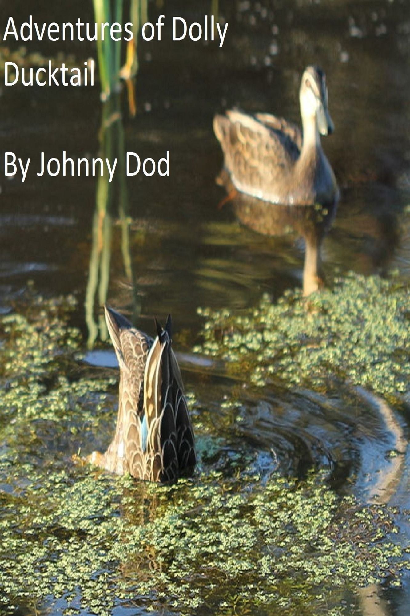 Adventures of Dolly Ducktail.