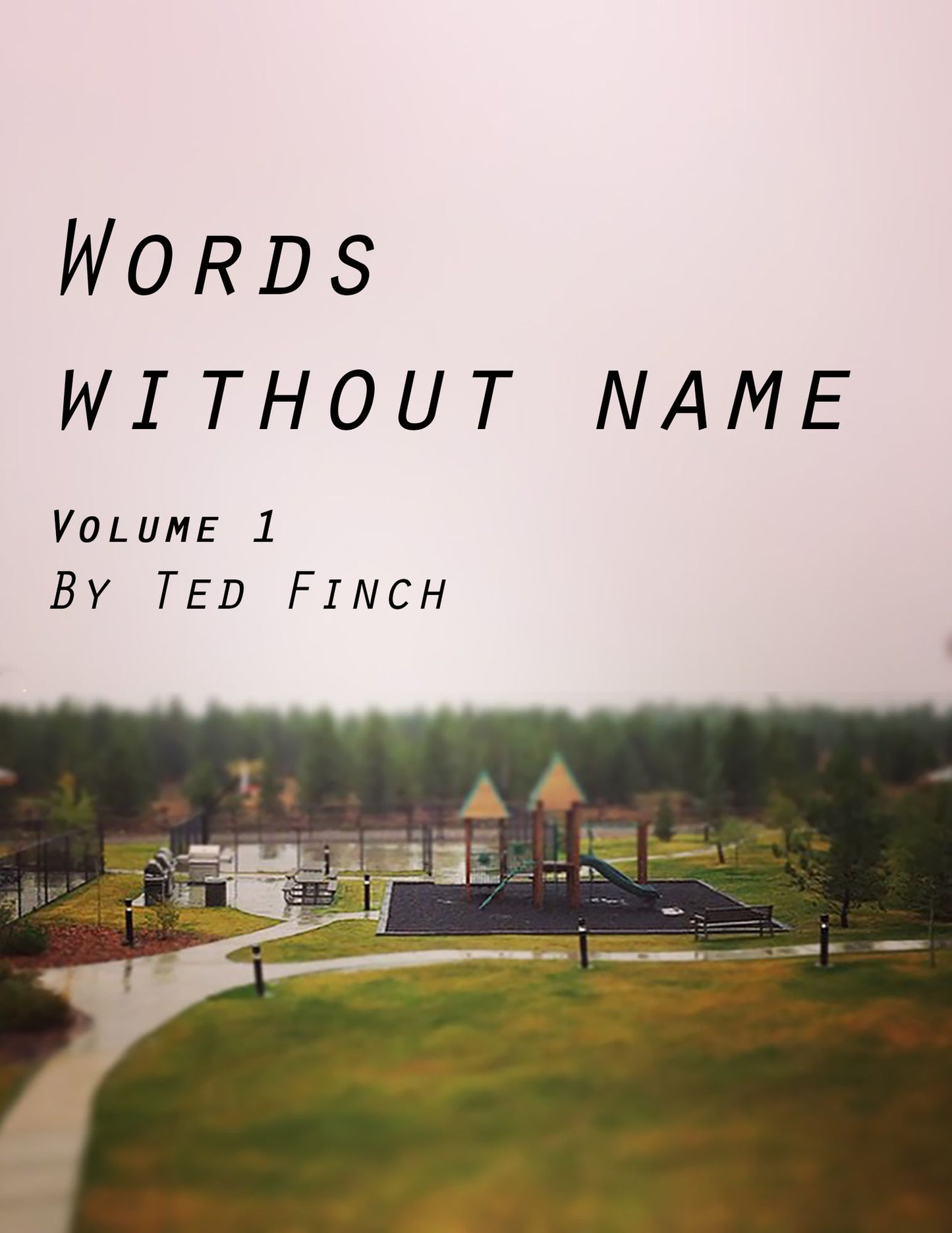 Words Without Name Volume 1