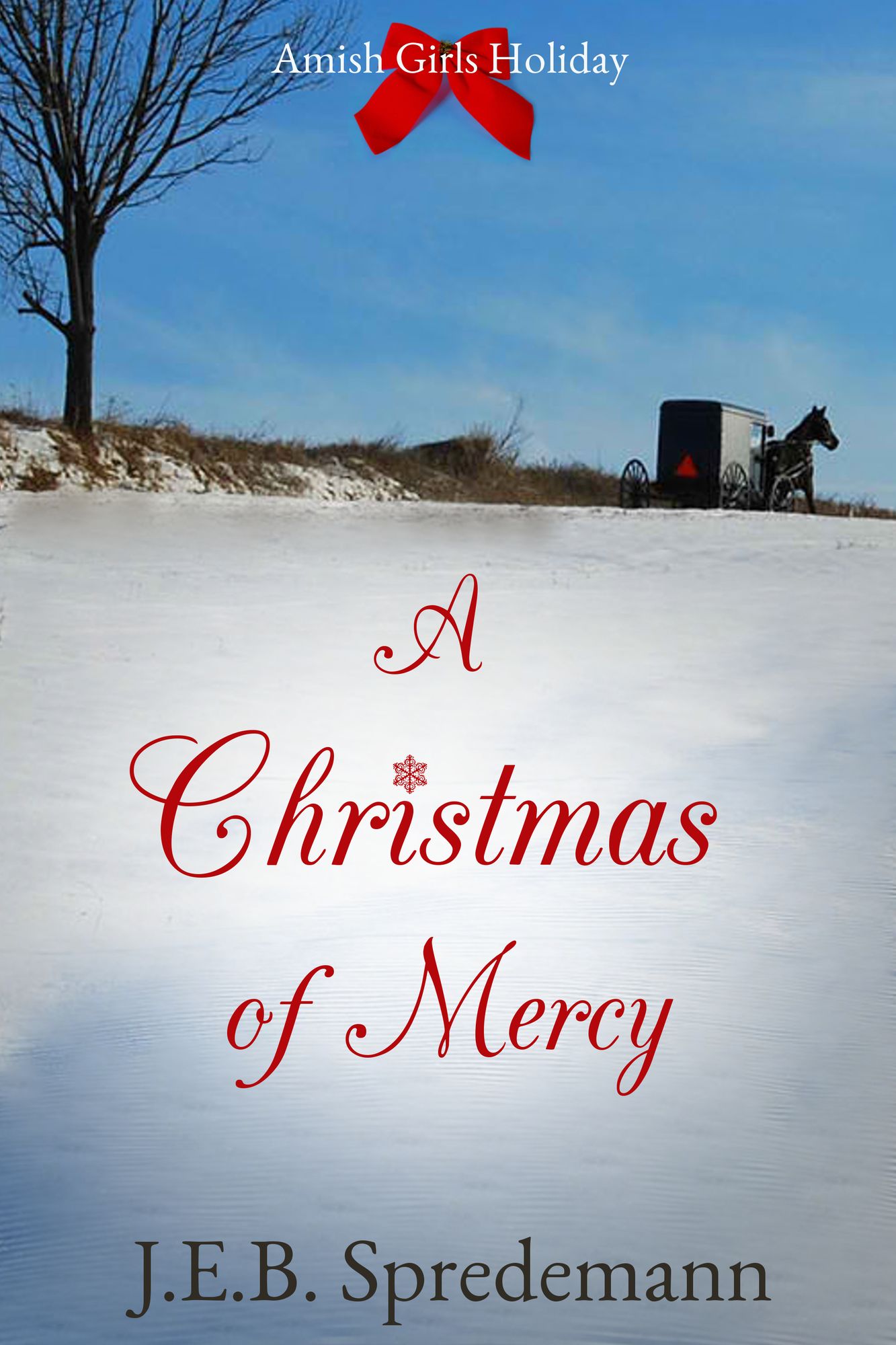 A Christmas of Mercy (Amish Girls Holiday)