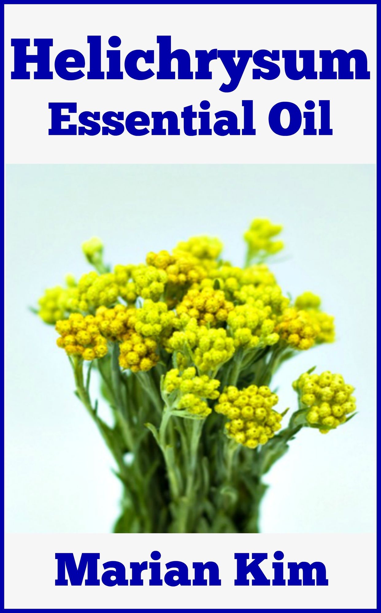 Helichrysum Essential Oil