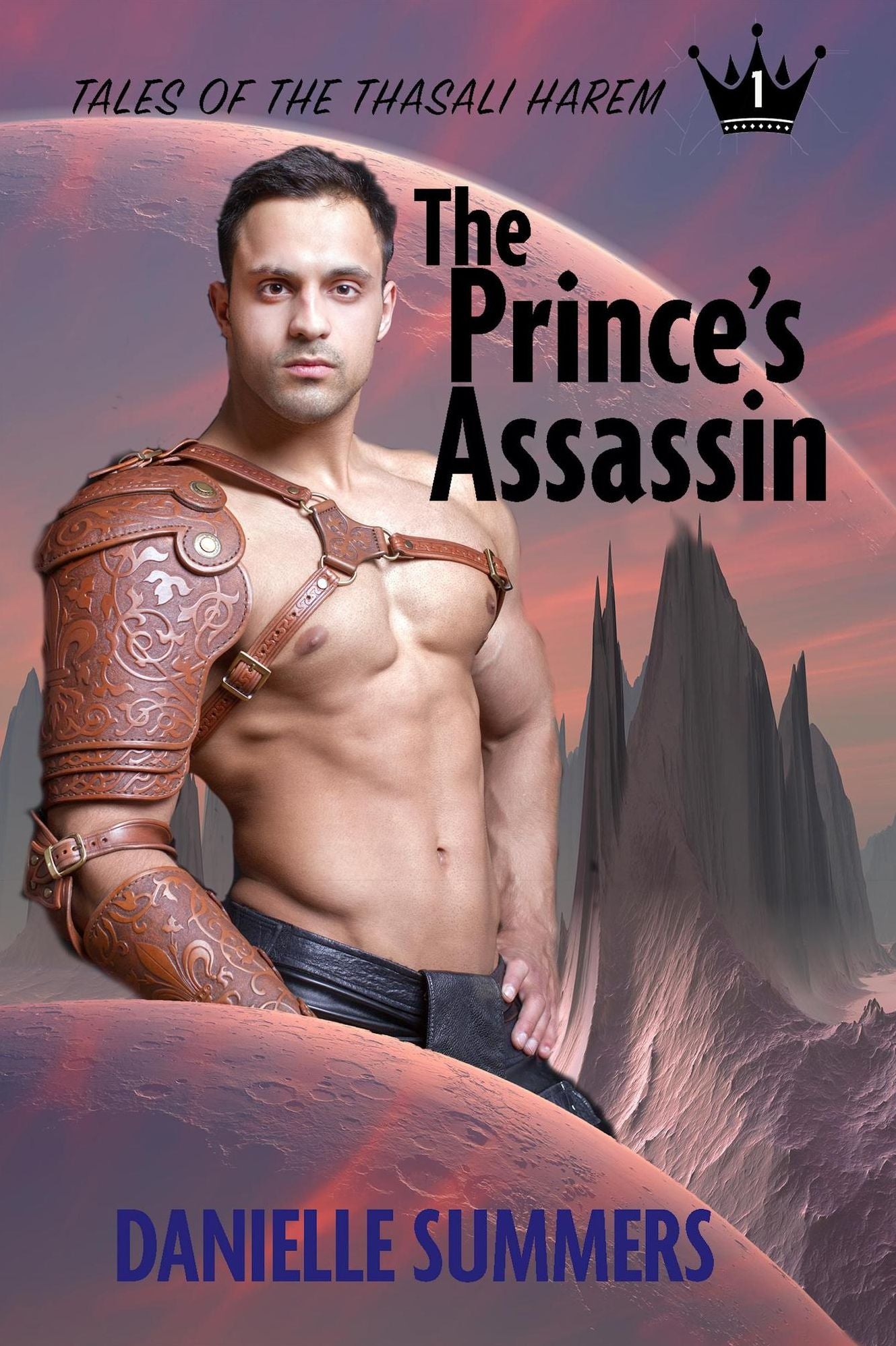 The Prince's Assassin