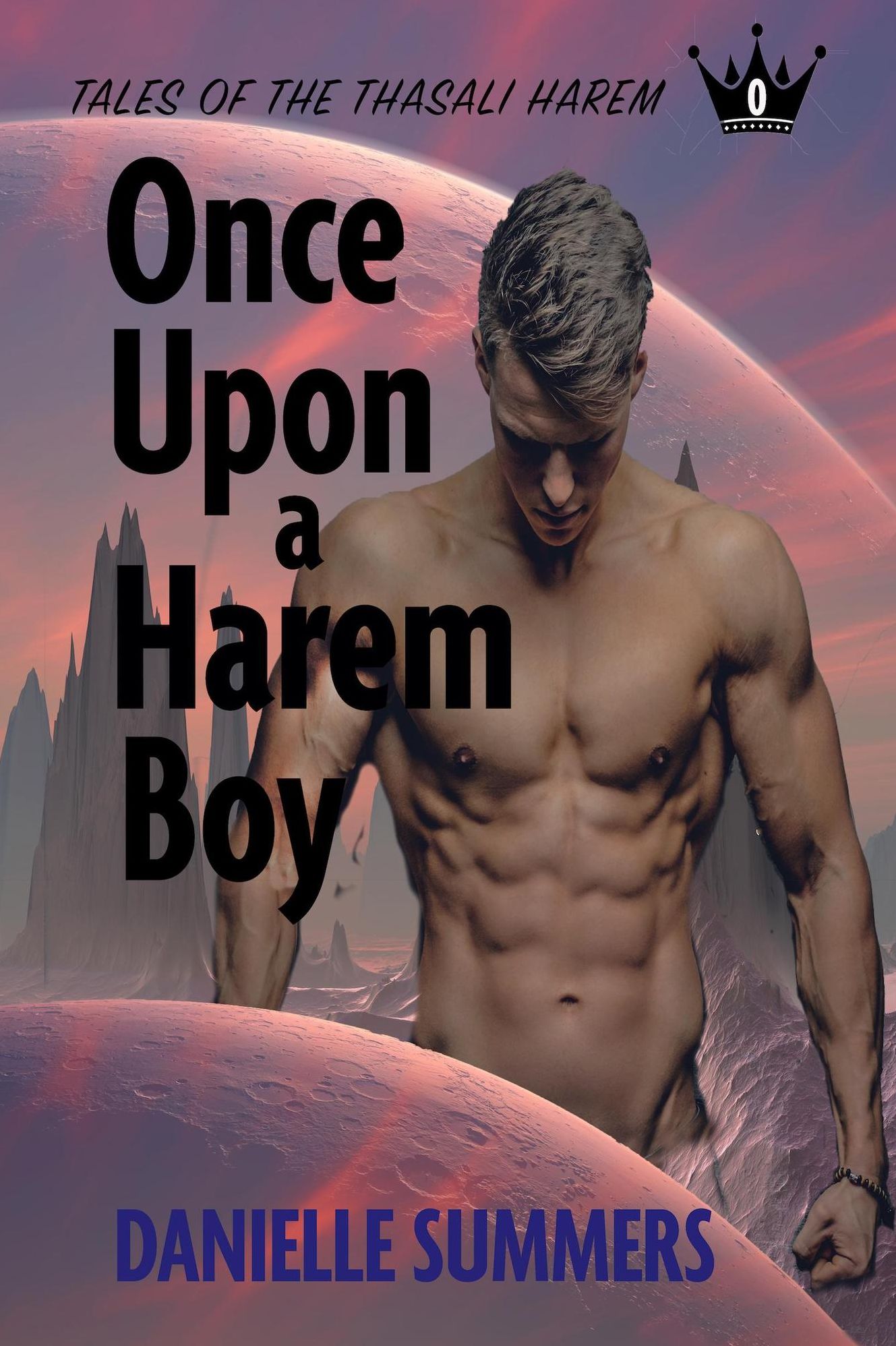 Once Upon a Harem Boy