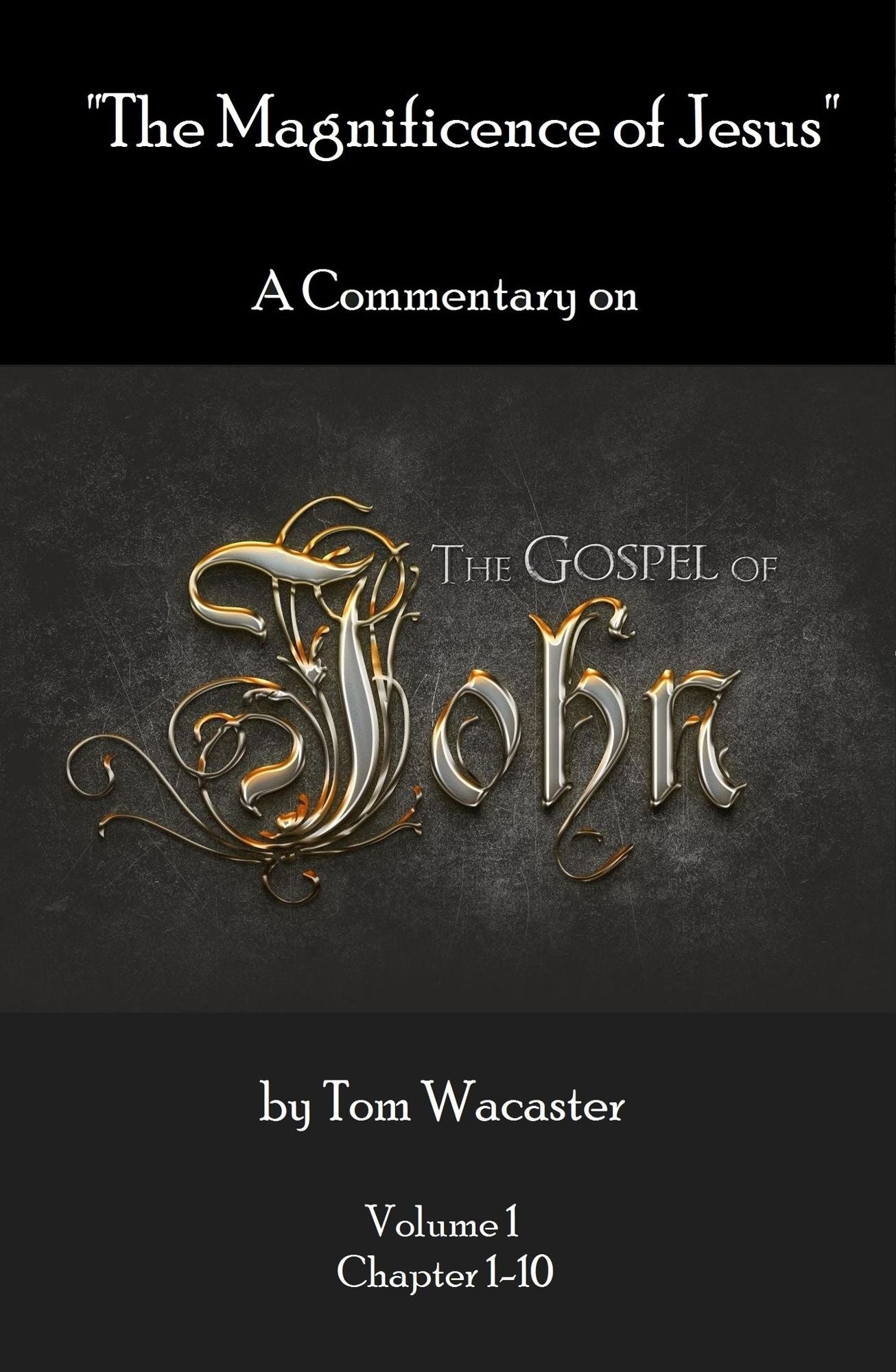 The Magnificence of Jesus: A Commentary On The Gospel of John - Volume 1
