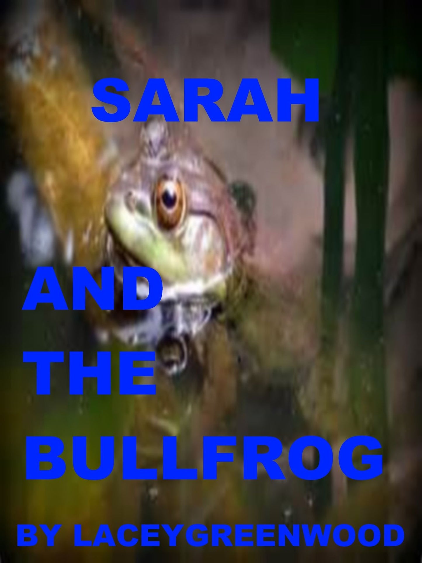 Sarah and the Bullfrog