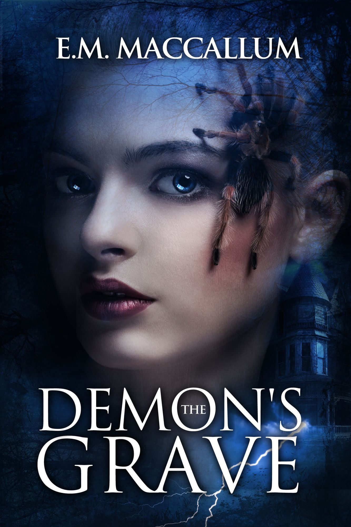 The Demon's Grave (Book #1 The Demon's Grave)