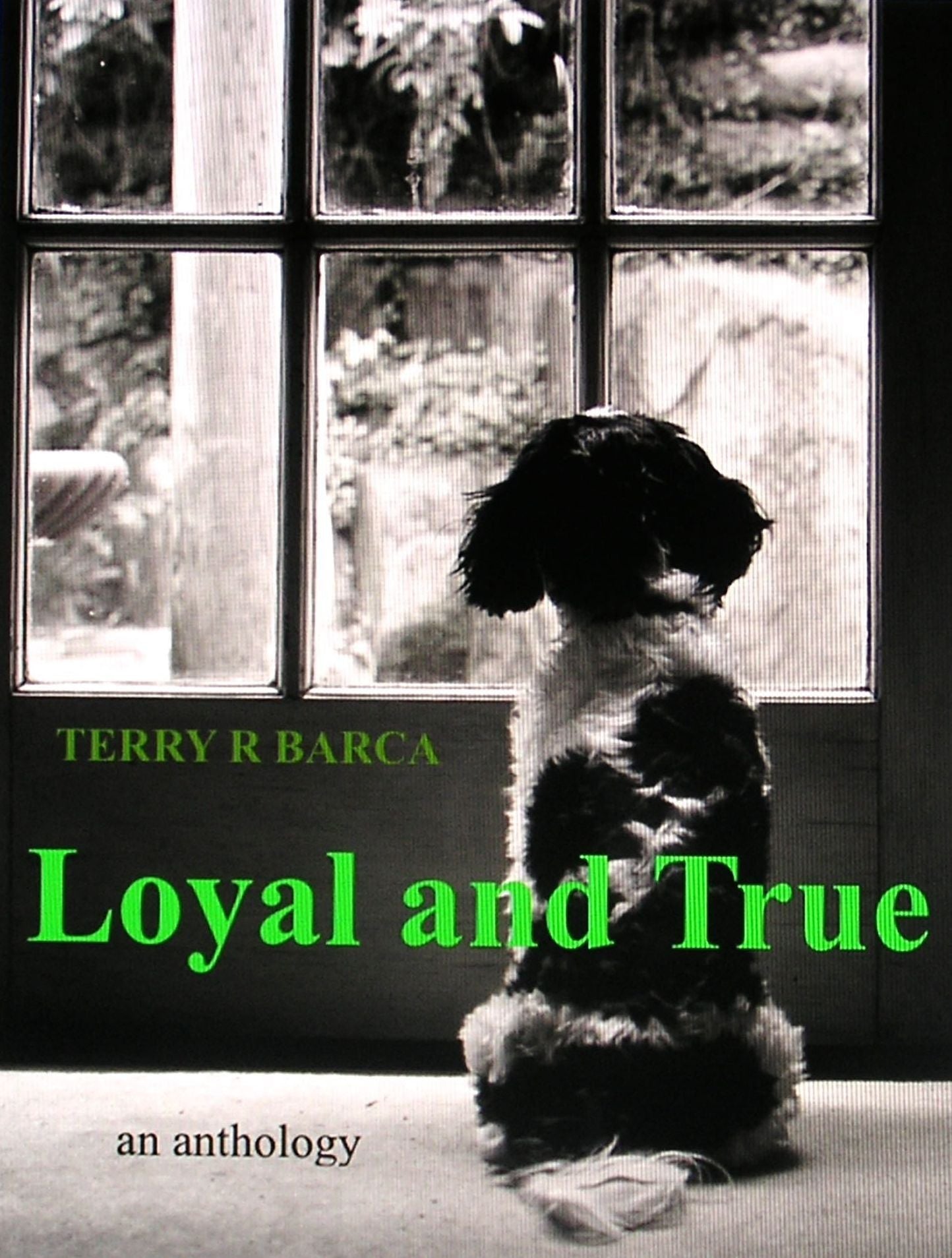 Loyal and True