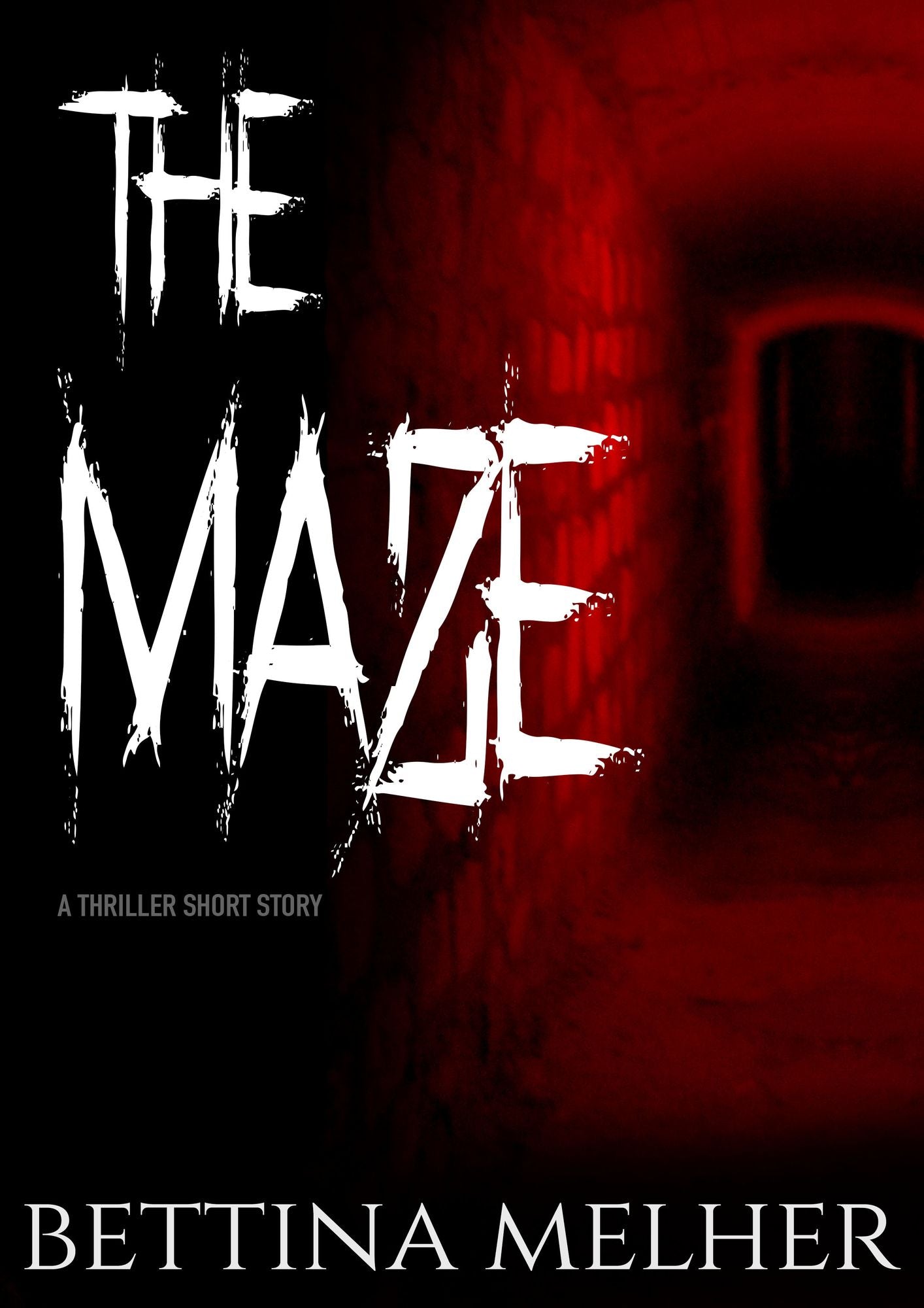 THE MAZE: A Thriller Short Story