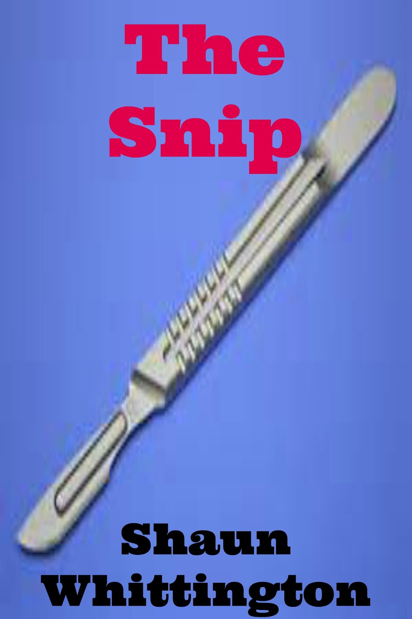 The Snip (a short story)