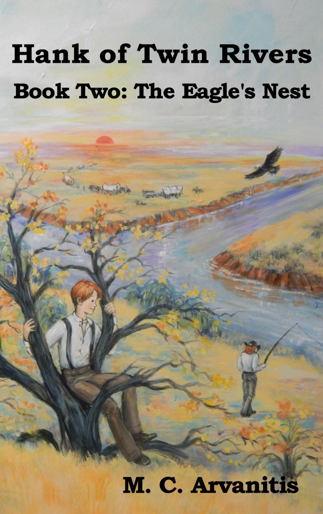 Hank of Twin Rivers, Book Two: The Eagle's Nest