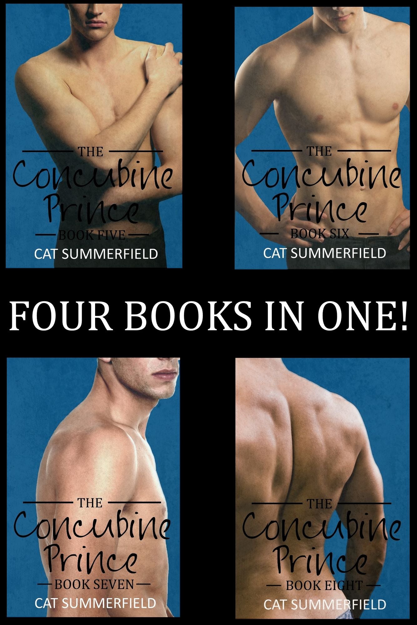 The Concubine Prince Anthology Volume Two (Books 5-8)