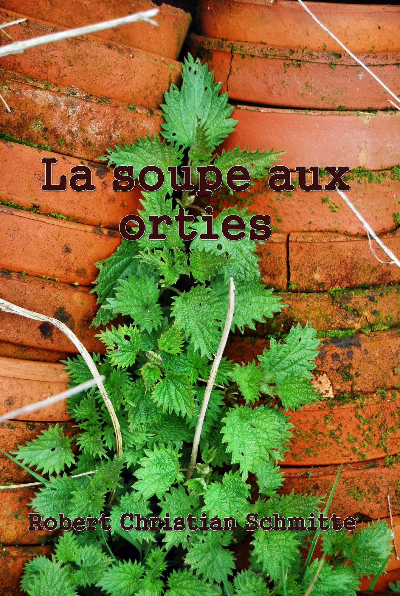 La soupe aux orties