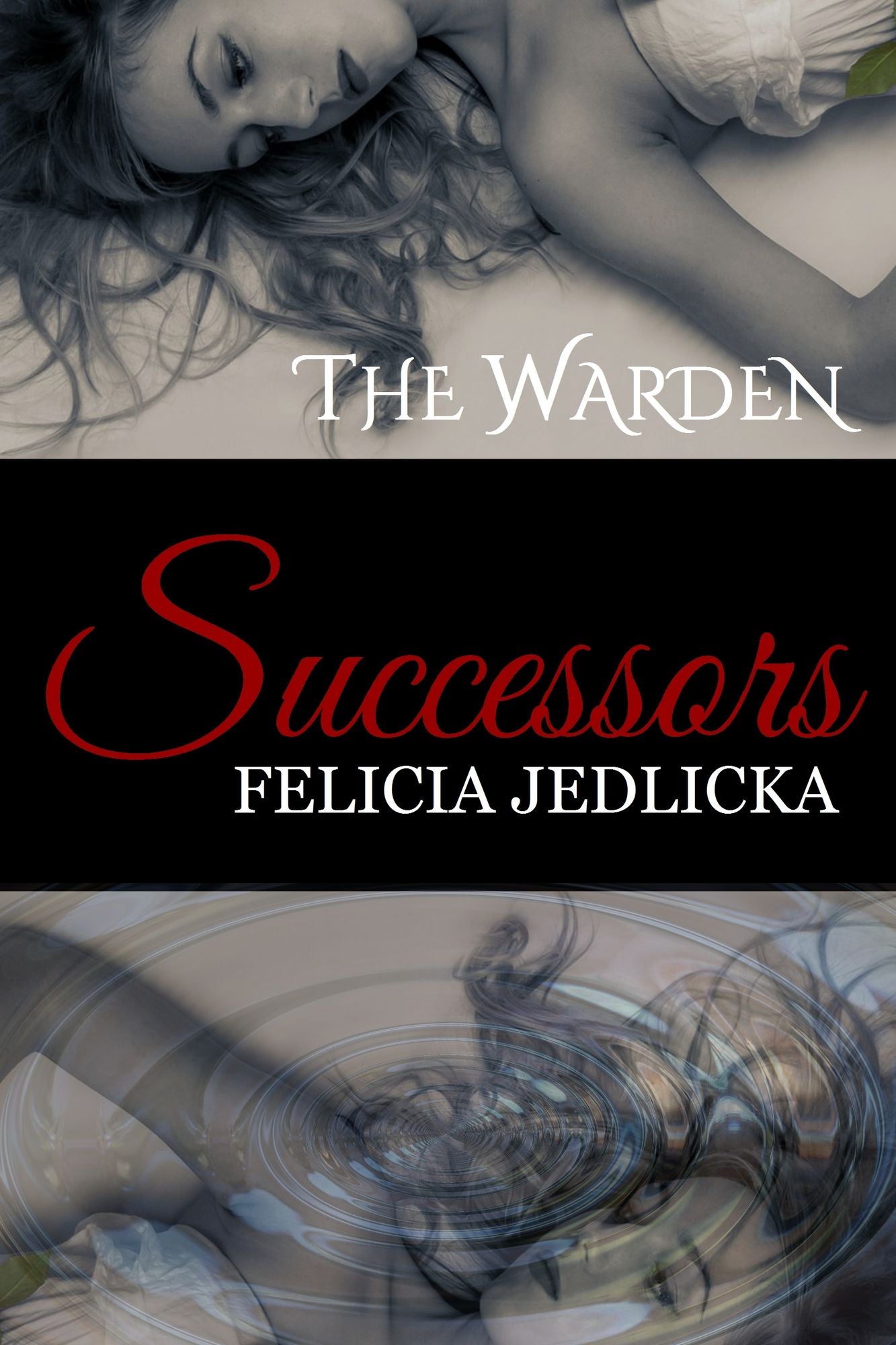 Successors (Book 1 of The Warden)