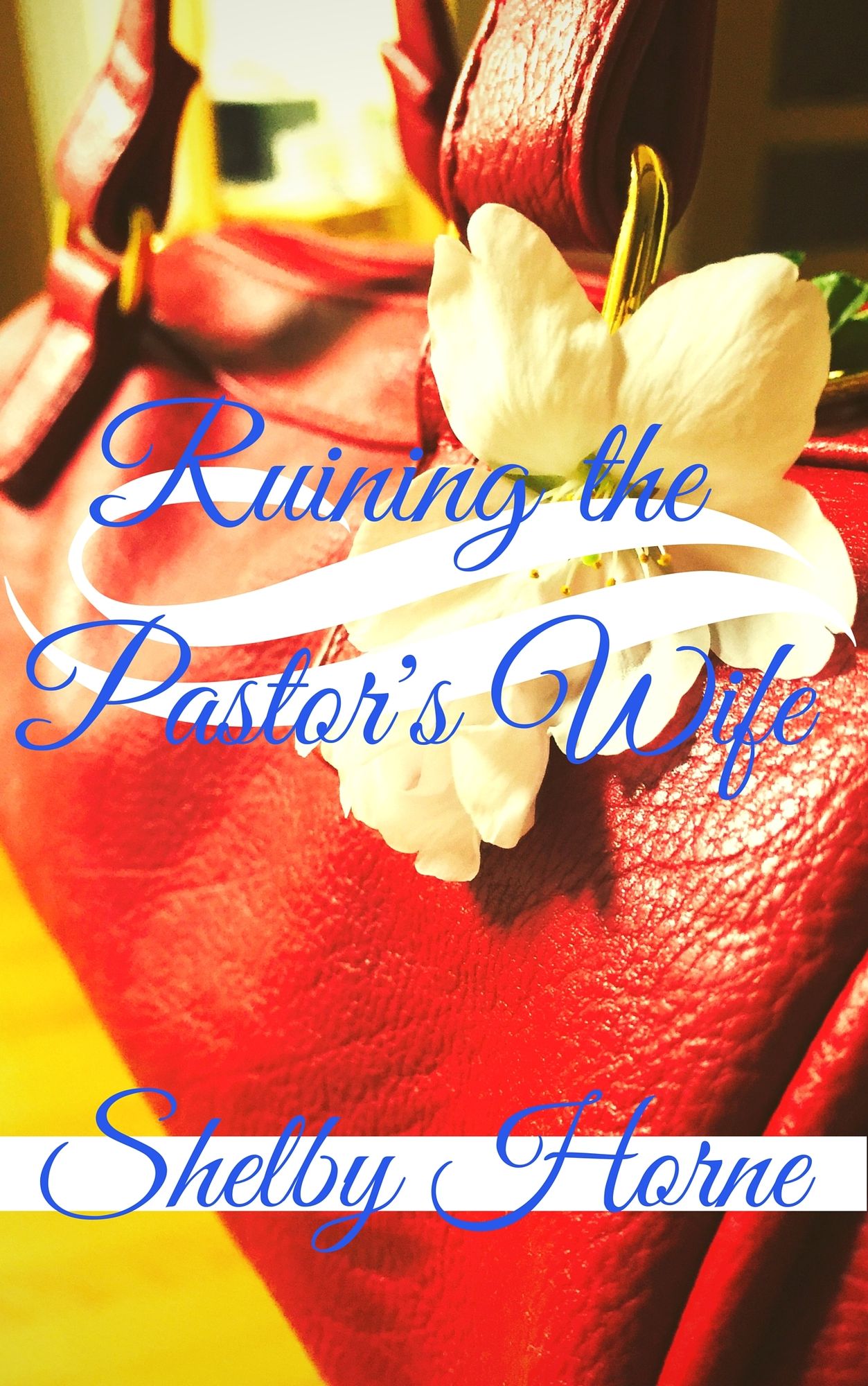 Ruining the Pastor's Wife