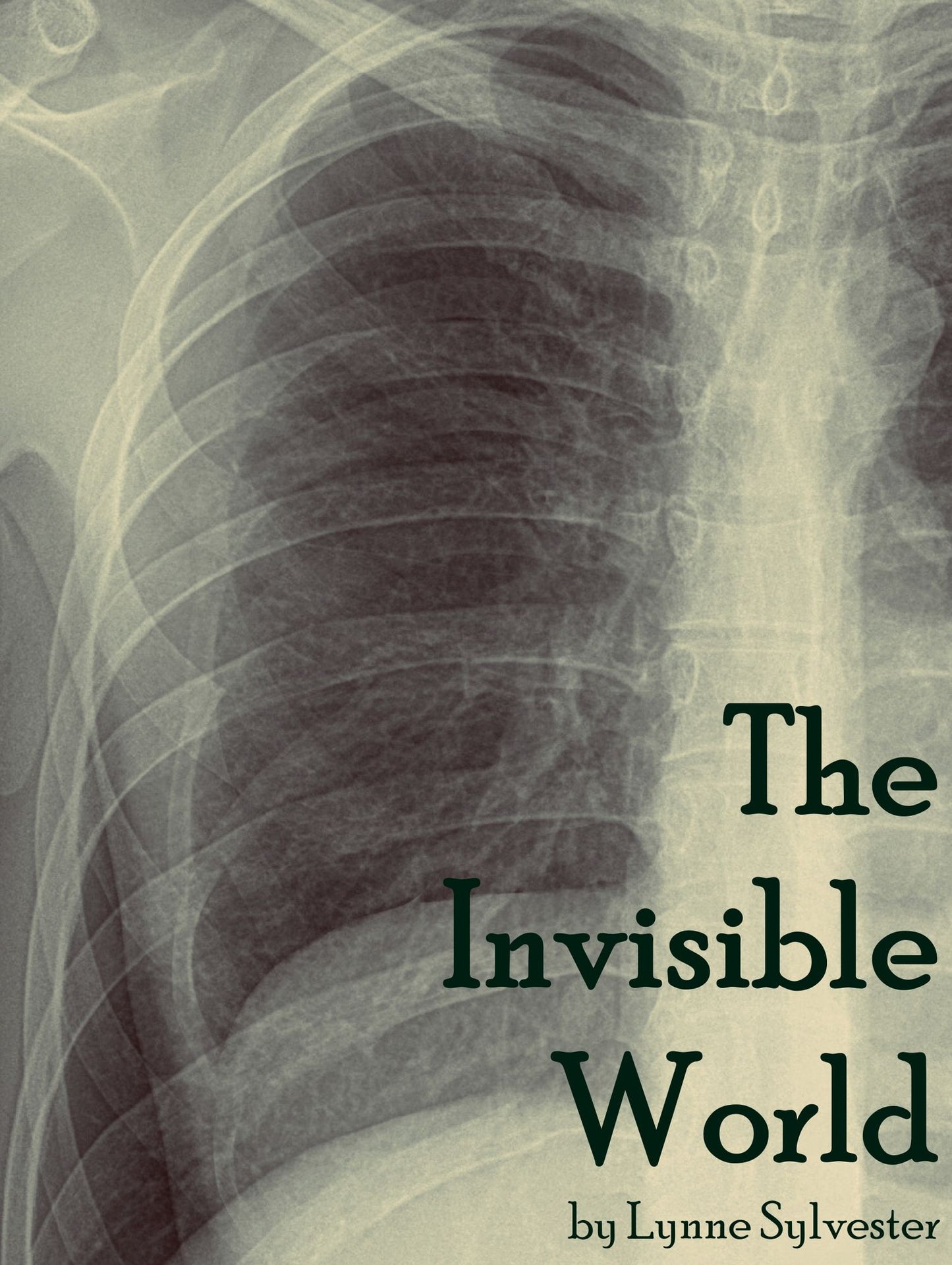 The Invisible World
