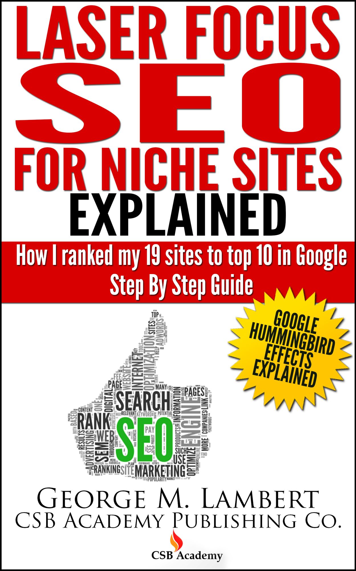 Laser Focus SEO For Niche Sites Explained!: How I Ranked my 19 sites to top 10 in Google Step by Step Guide