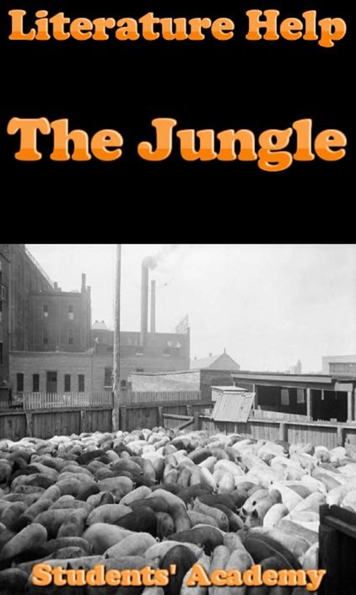 Literature Help: The Jungle