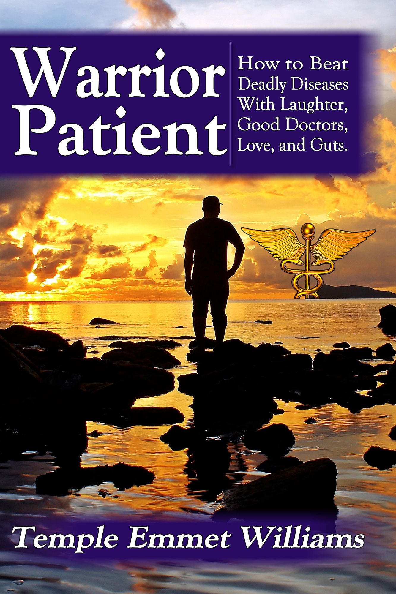 Warrior Patient: How to Beat Deadly Diseases With Laughter, Good Doctors, Love, and Guts.