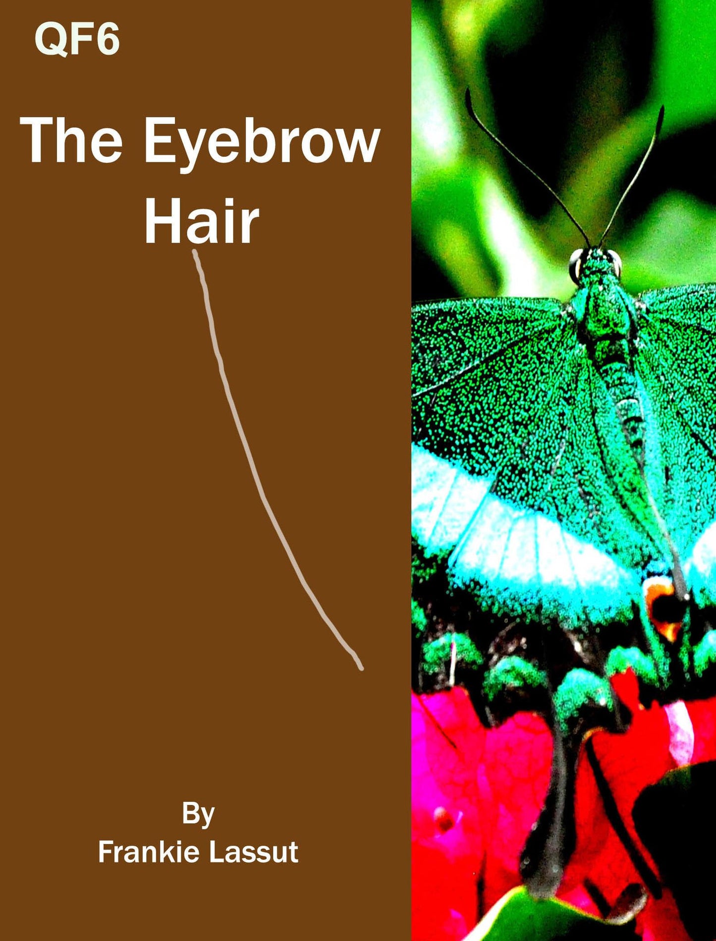 The Eyebrow Hair