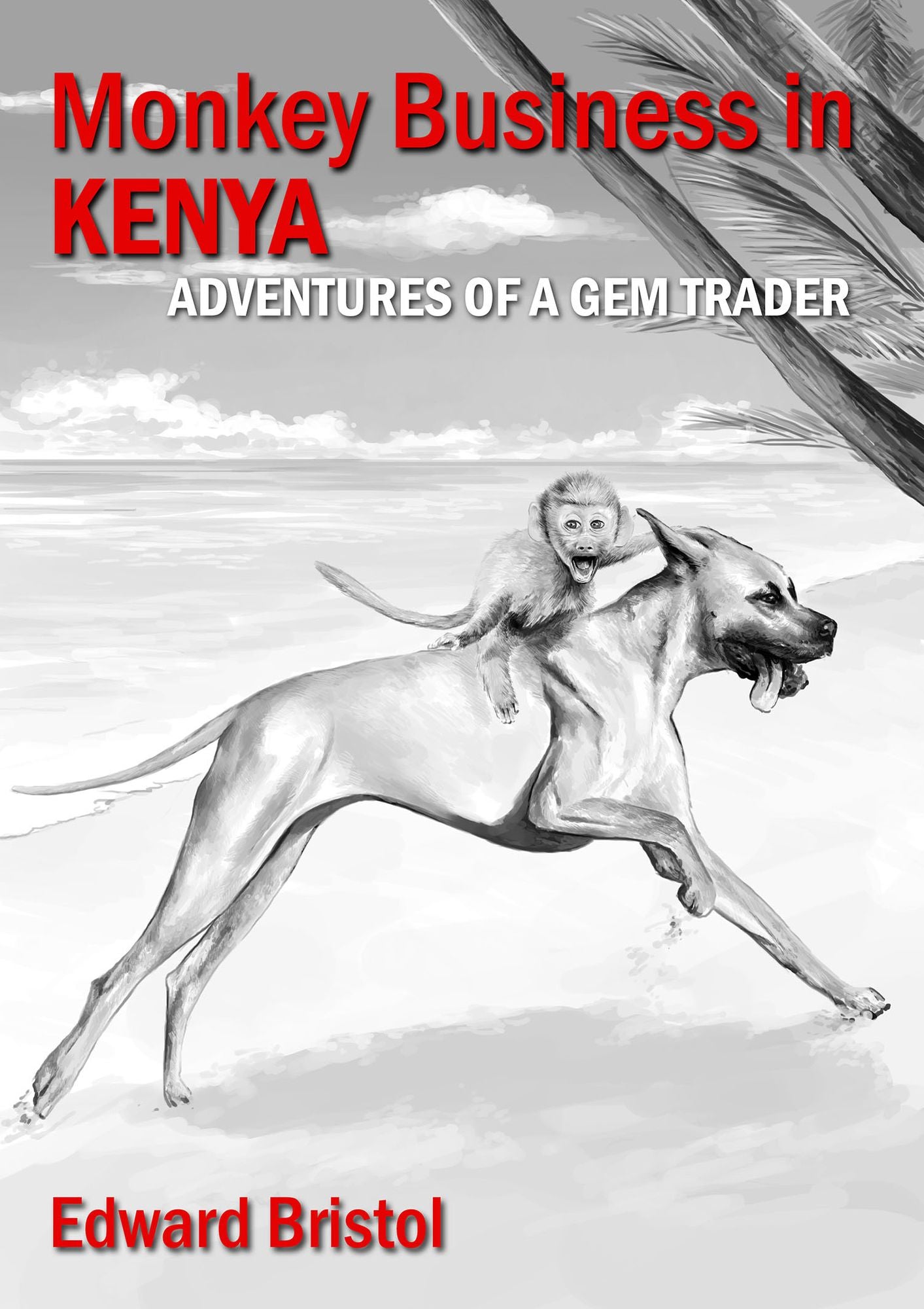Monkey Business in Kenya