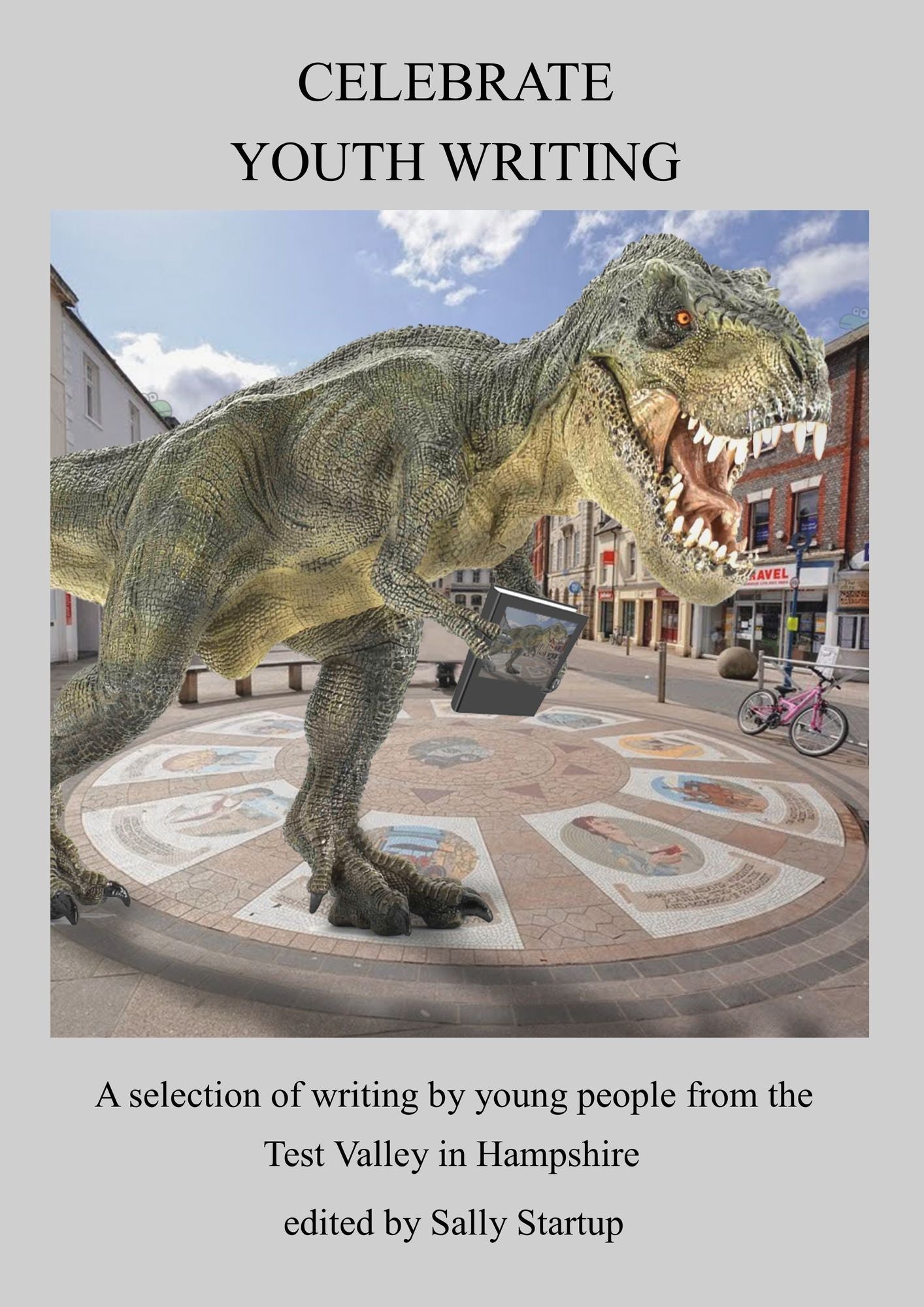 The Celebrate Youth Writing Anthology 2015: A Selection of Writing by Young People from The Test Valley