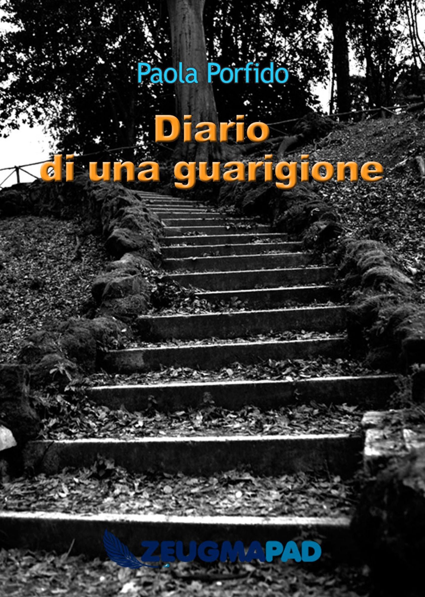Diario di una guarigione