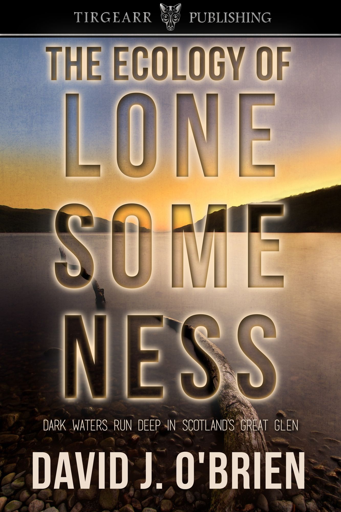 The Ecology of Lonesomeness