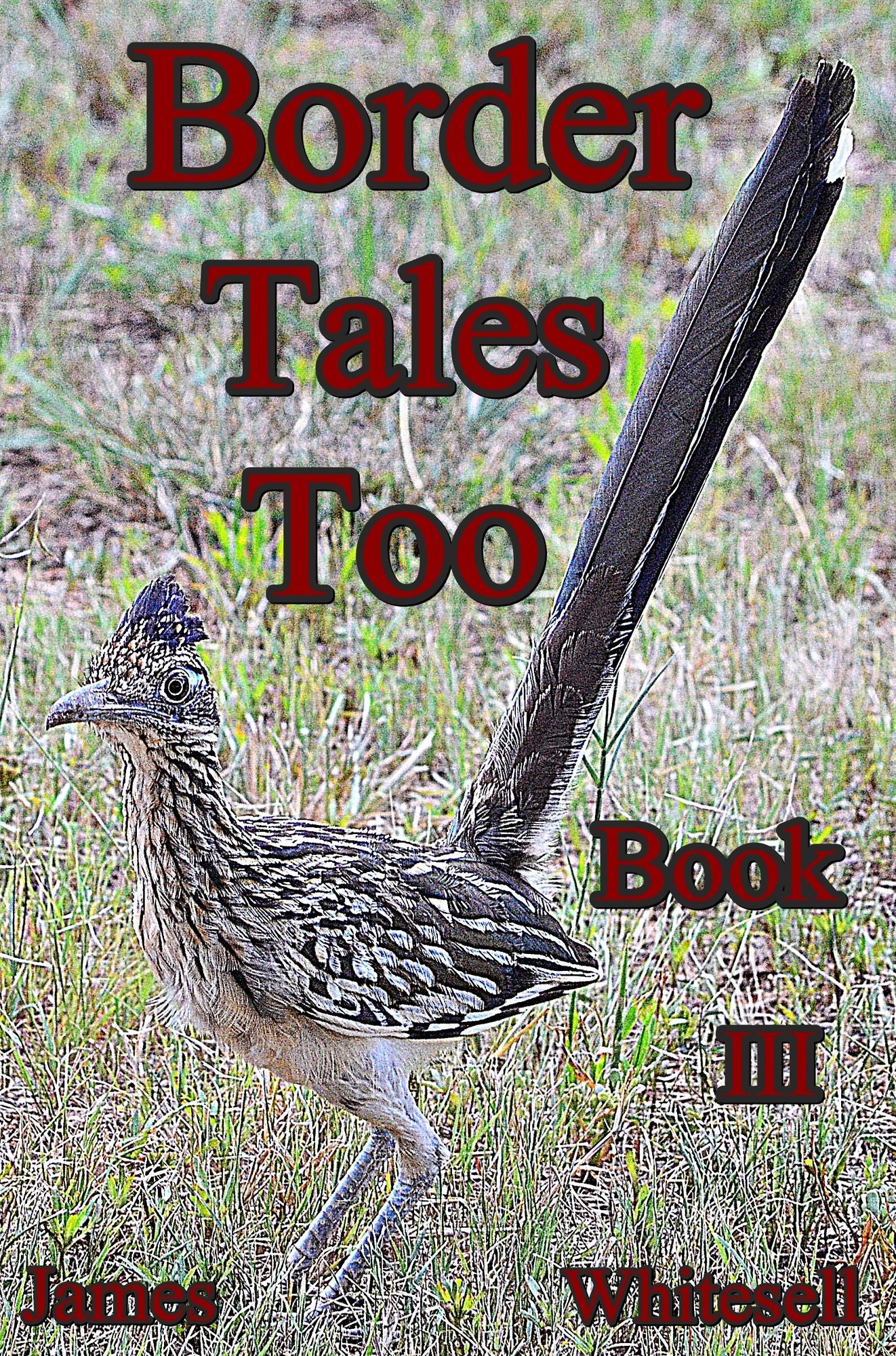 Border Tales Too Book III