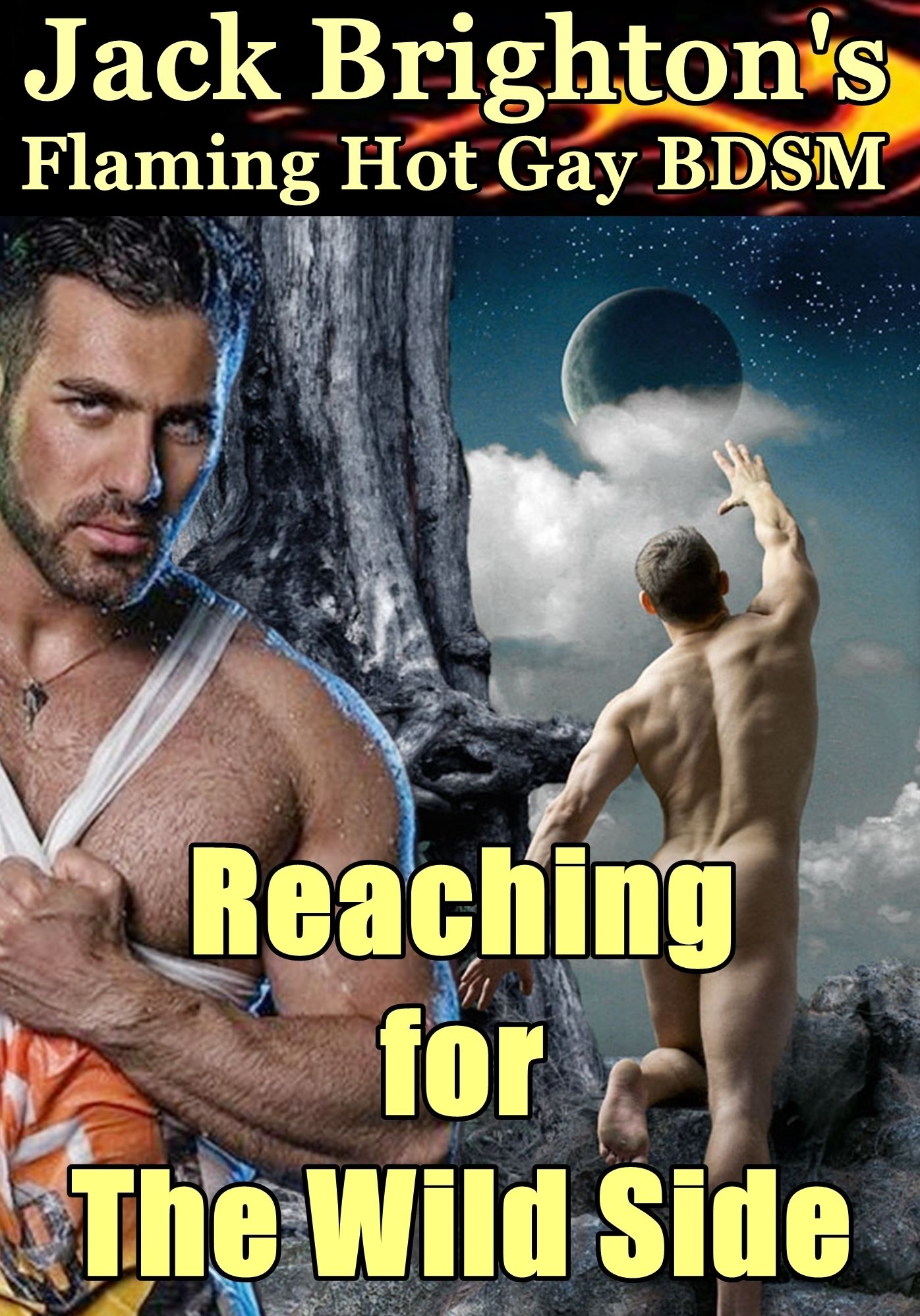 Reaching for The Wild Side