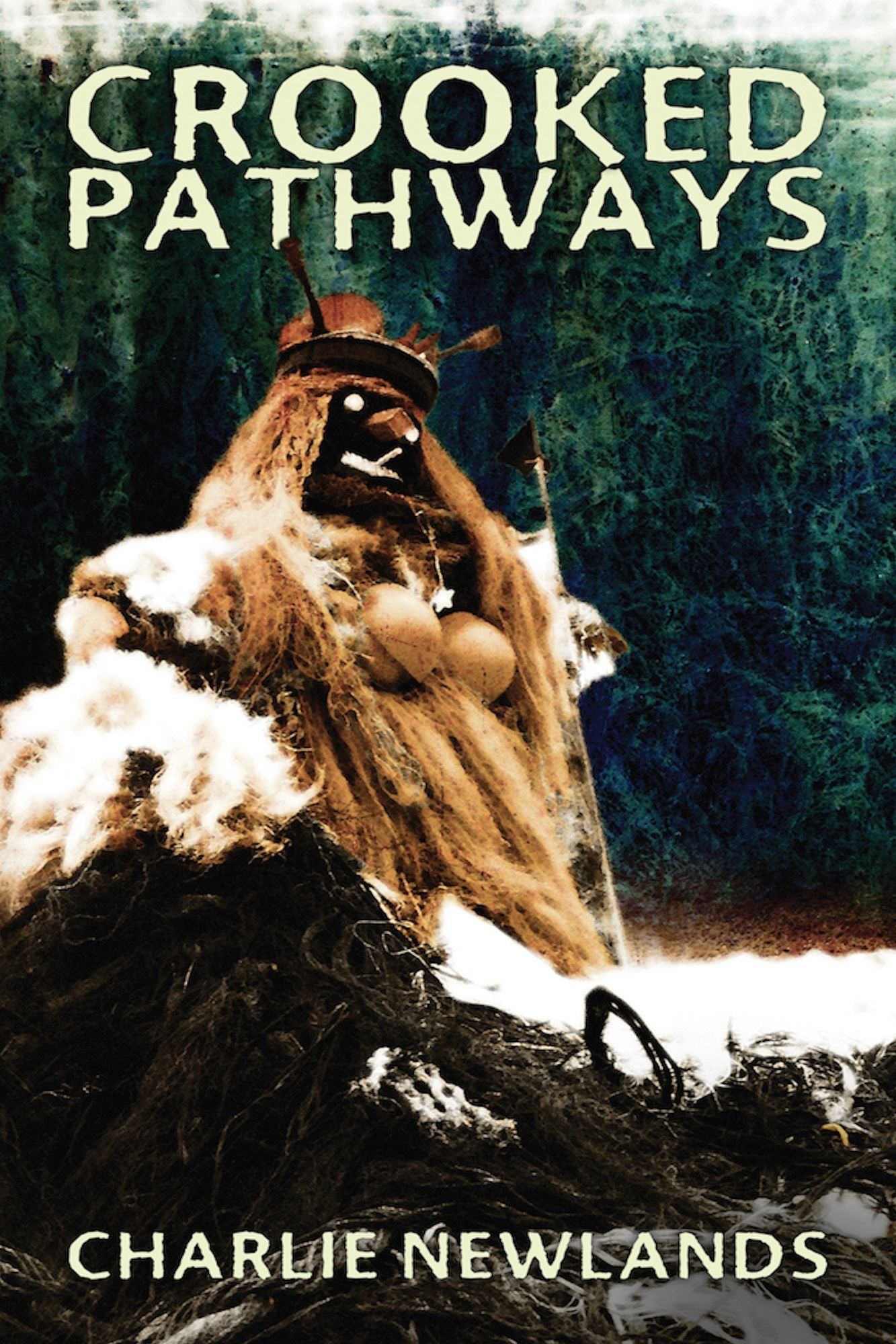 Crooked Pathways