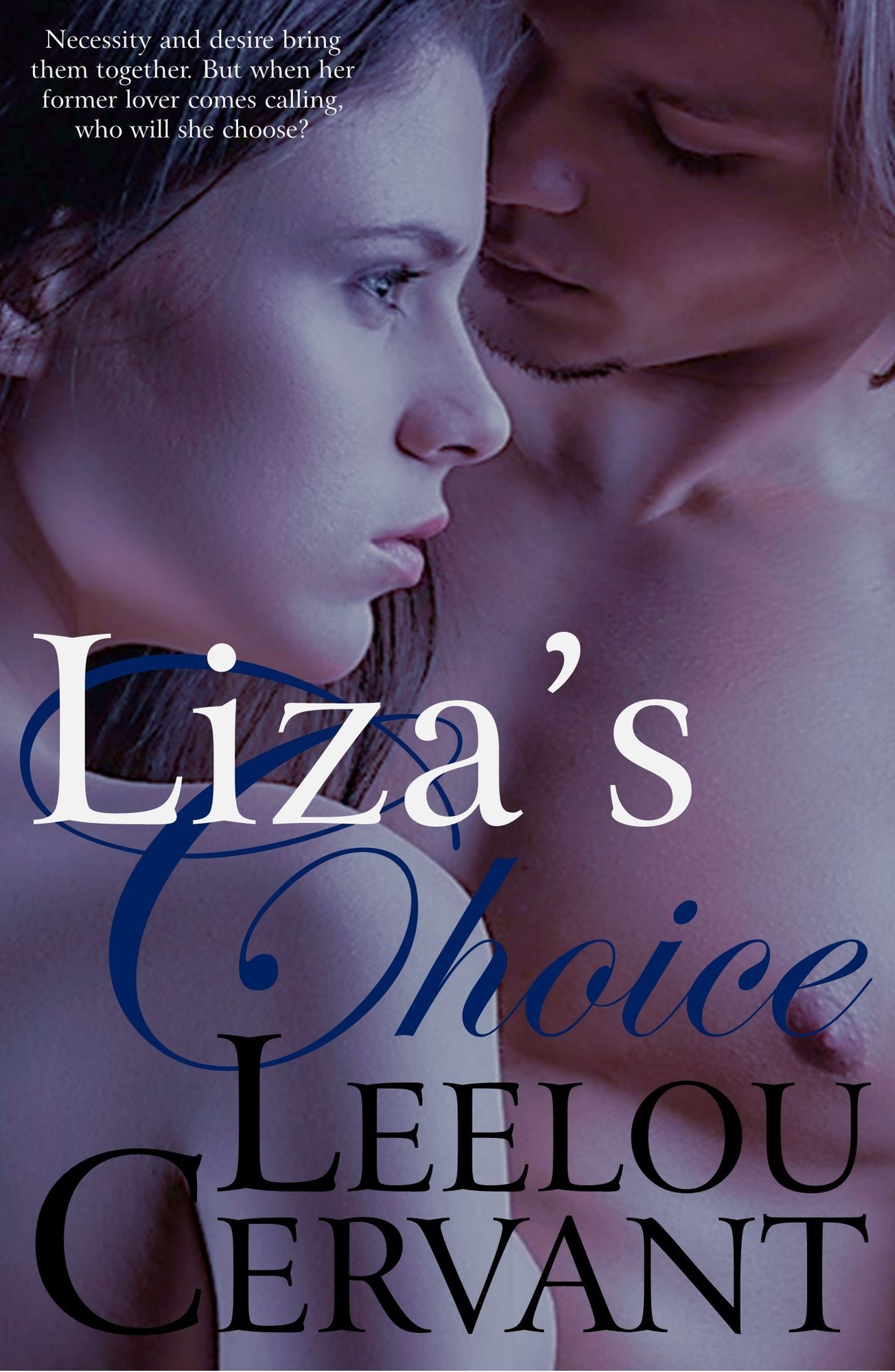 Liza's Choice: Mistresses: Book Two