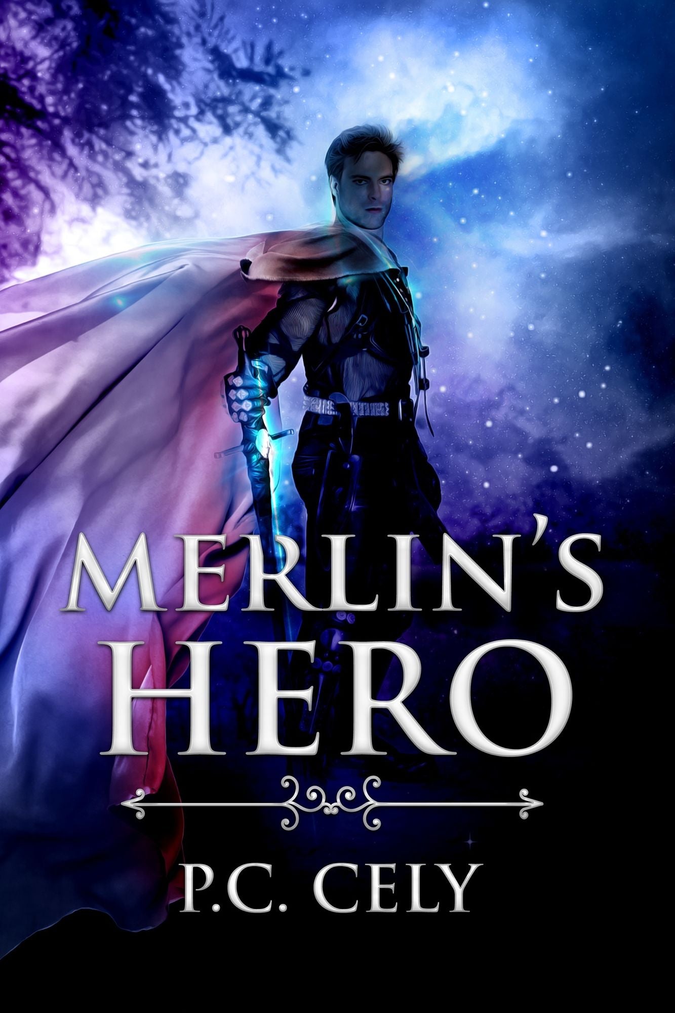 Merlin's Hero