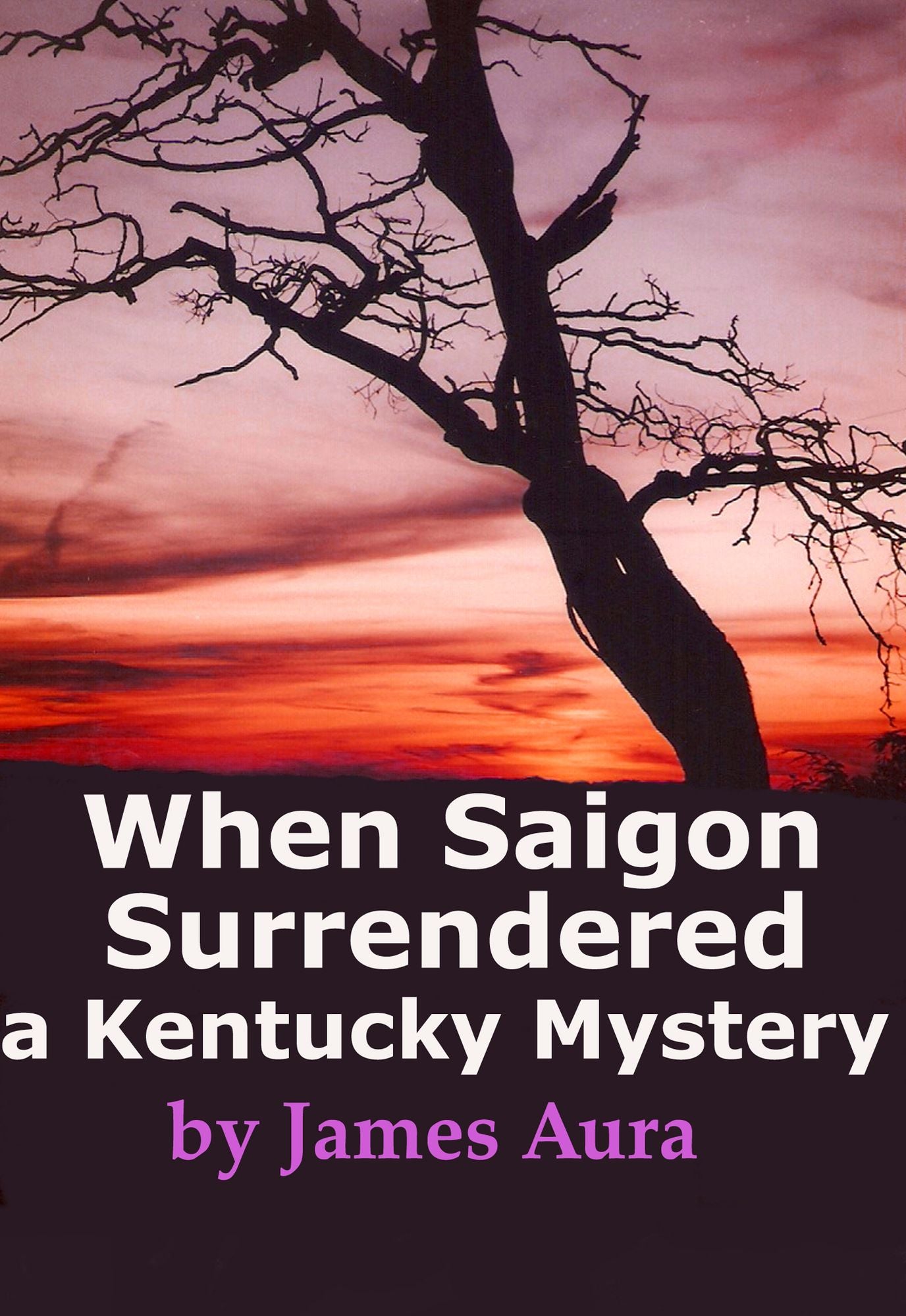 When Saigon Surrendered: A Kentucky Mystery